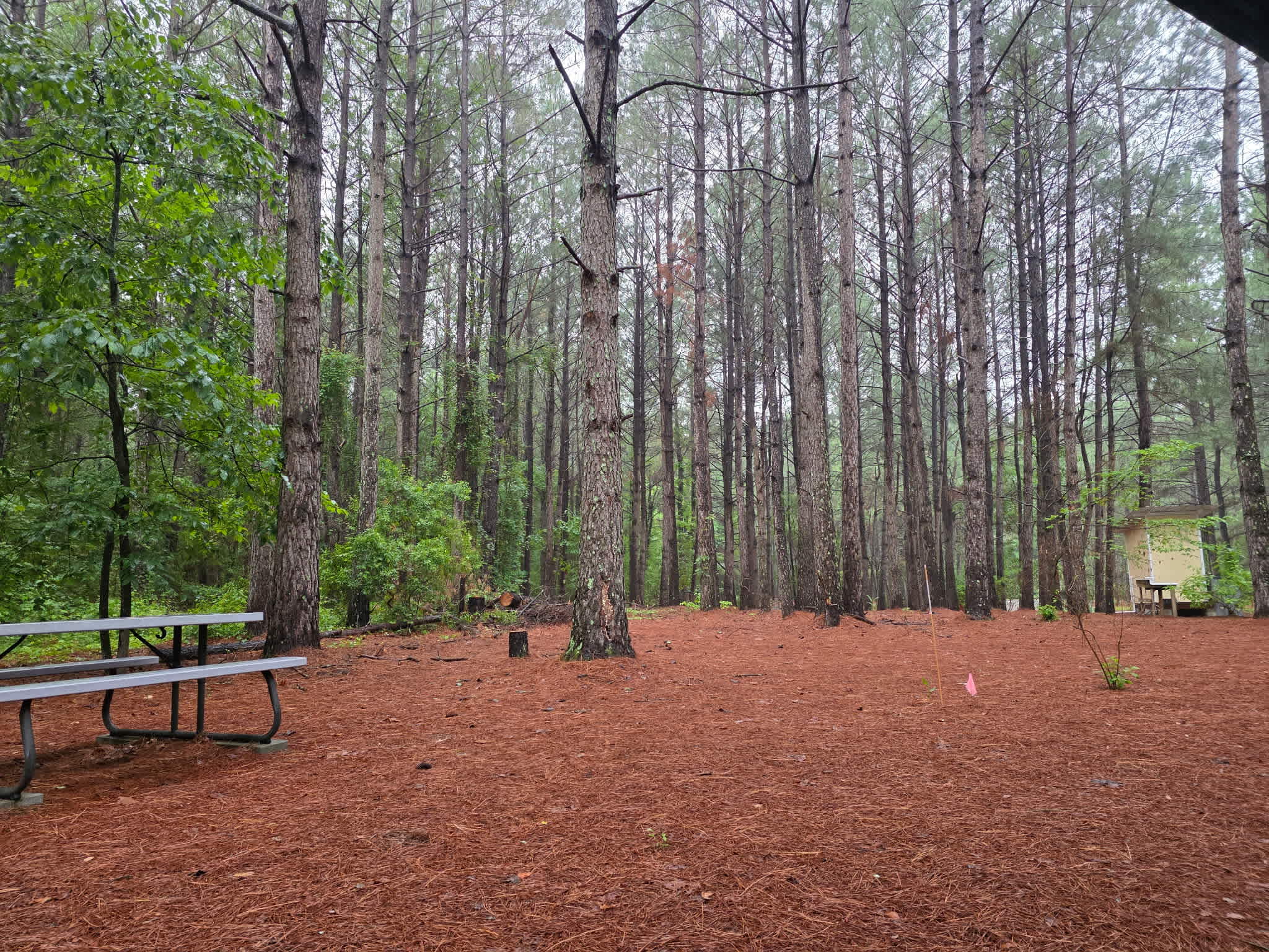 View from site 2