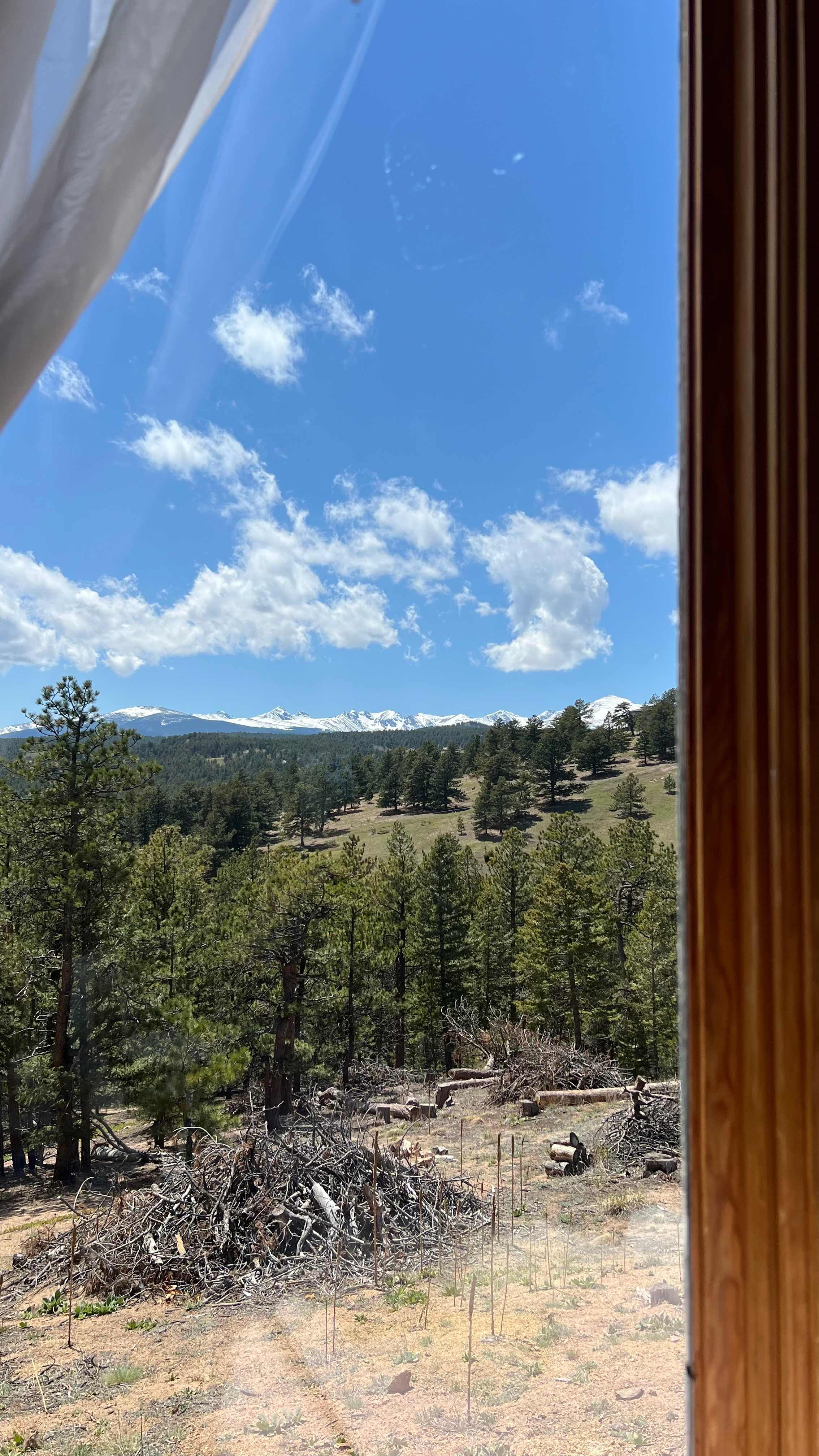 The Bluebear at Y Double-K Ranch