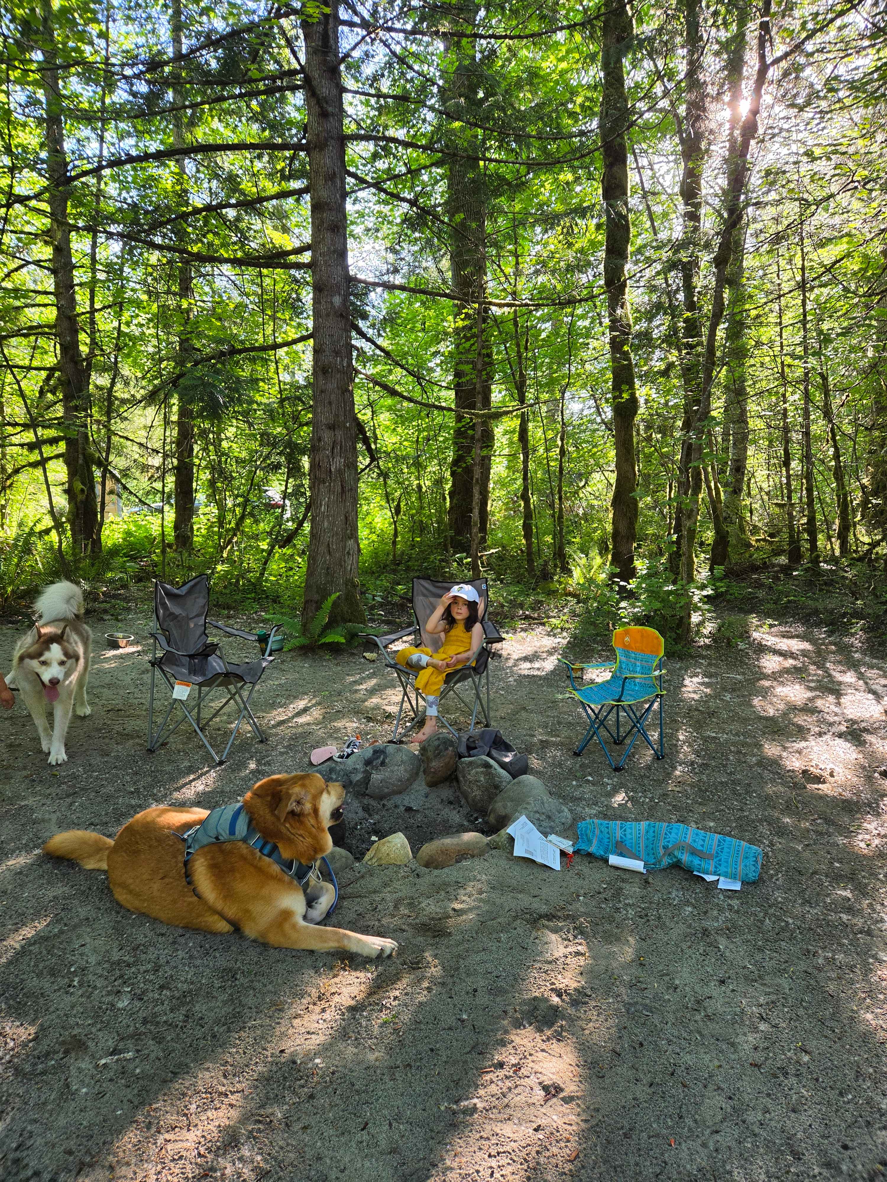 Forested with River Access/Firepit
