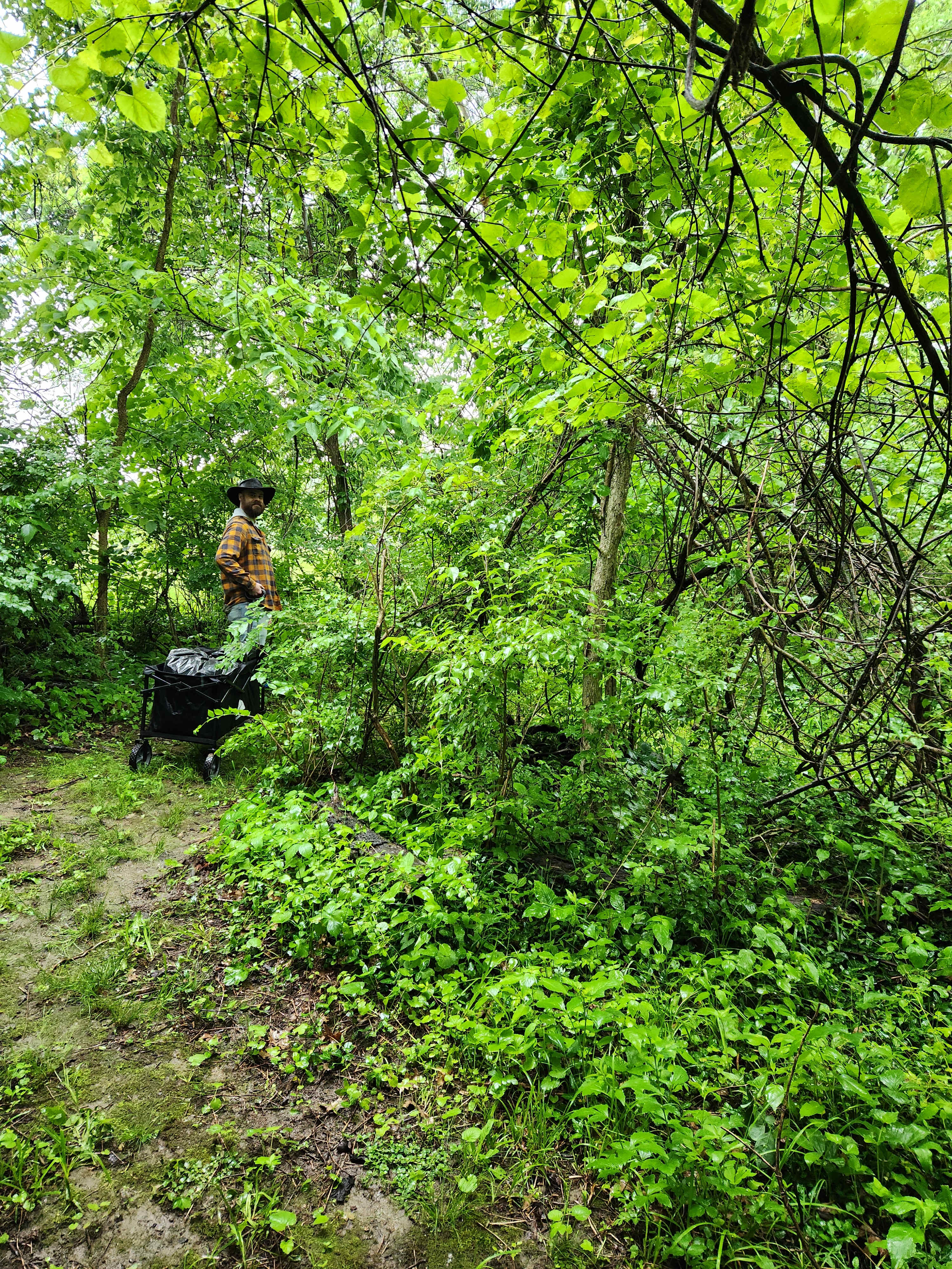 The cart was perfect for the pleasant, winding trail