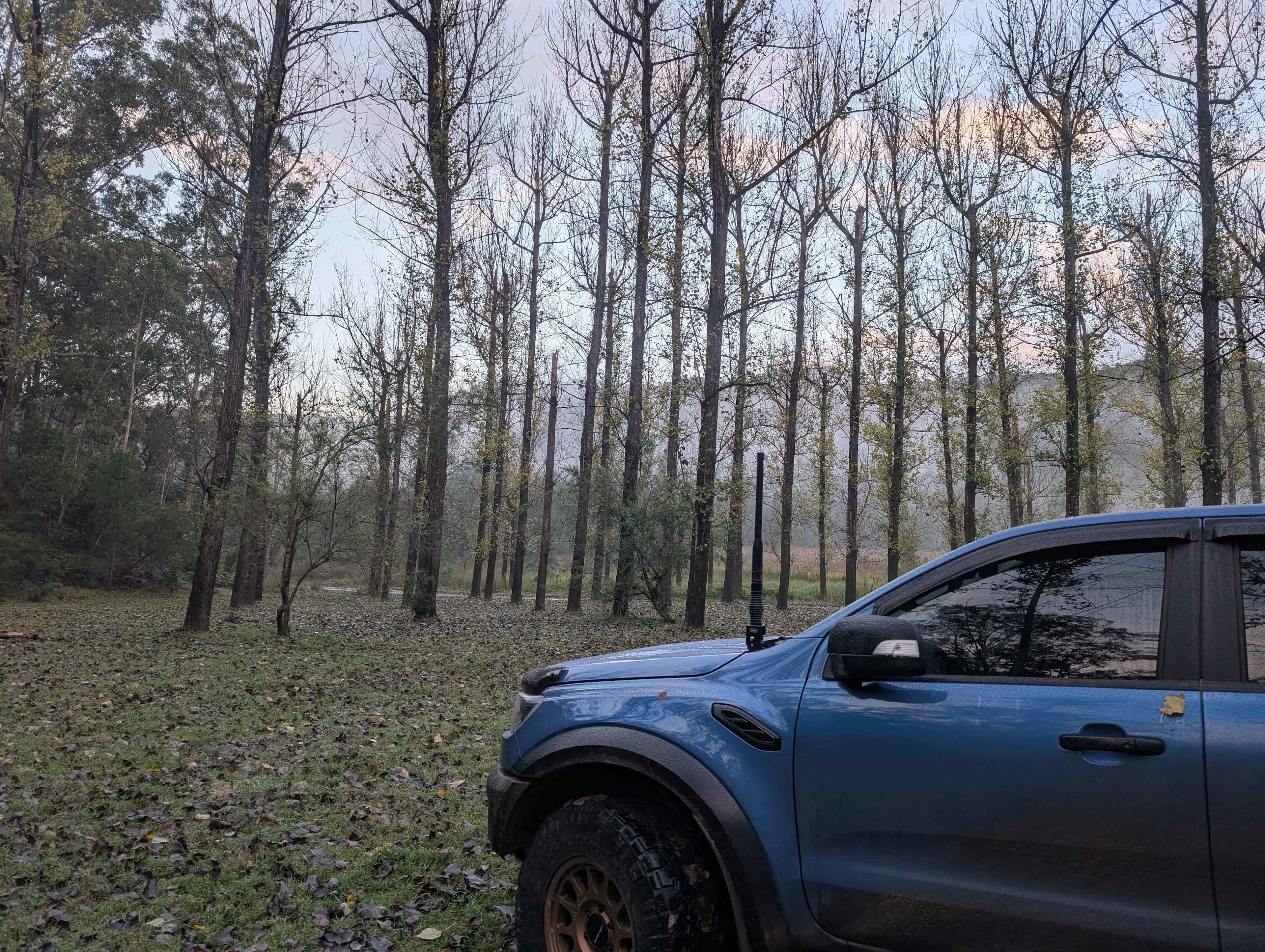 Poplars at Rosemont Estate