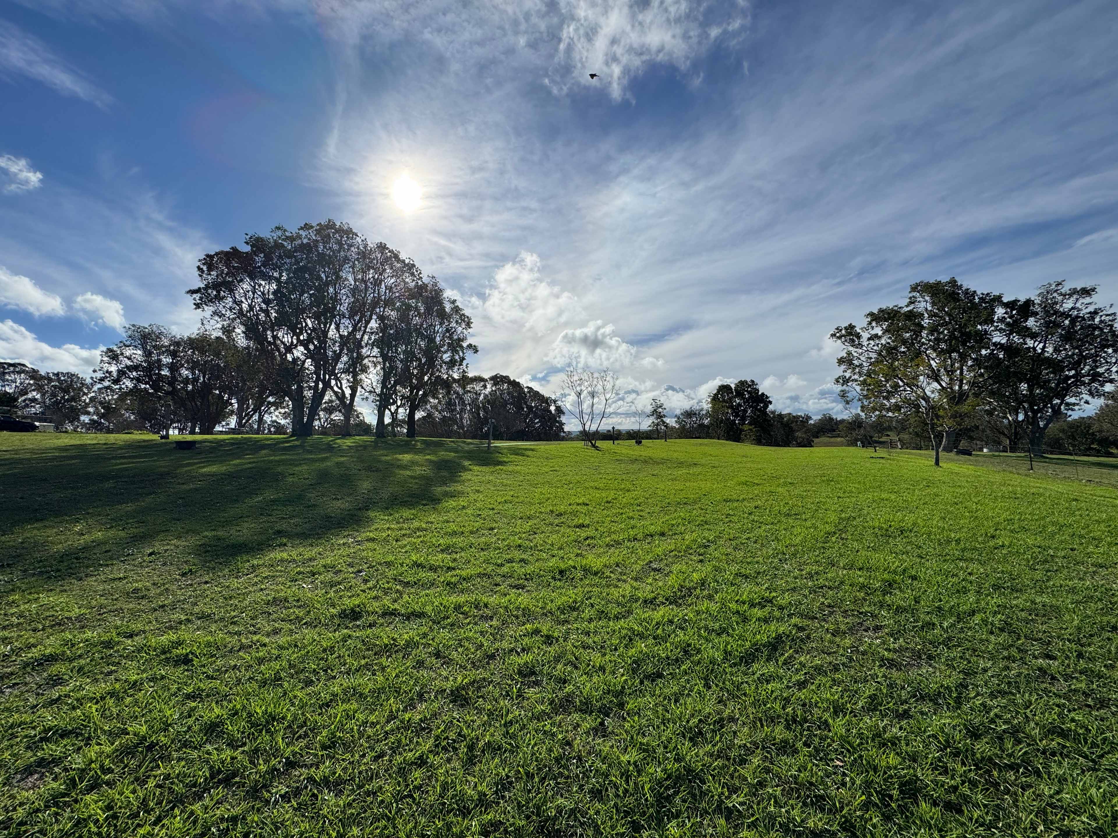 Aloomba Lavender Farm
