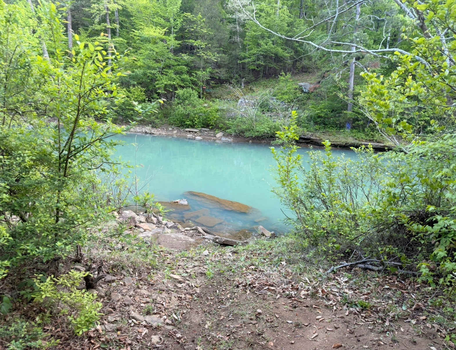 Picture of the site