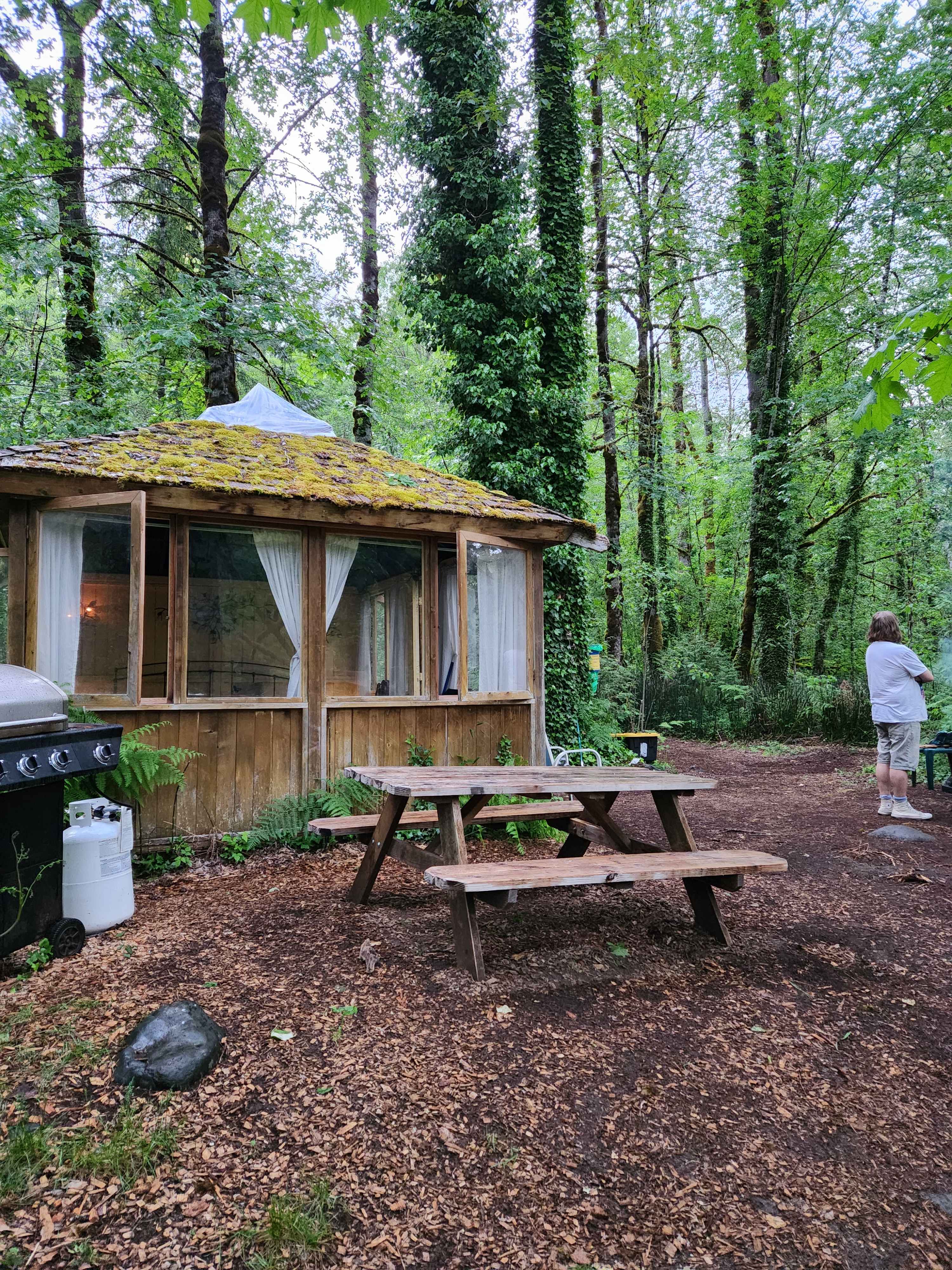 Mt. Hood Enchanted Forest