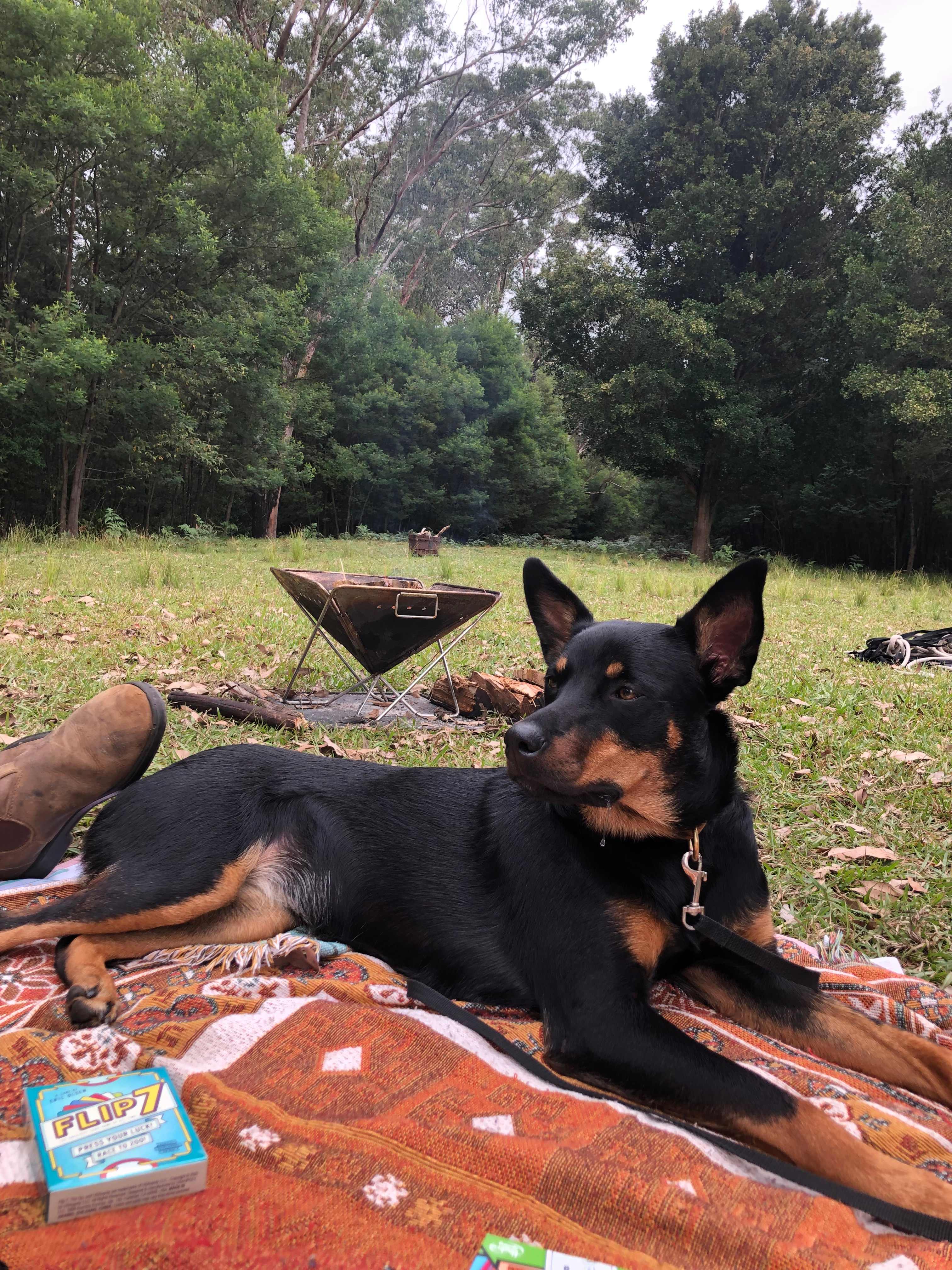 Fat Lamb Farm Camping