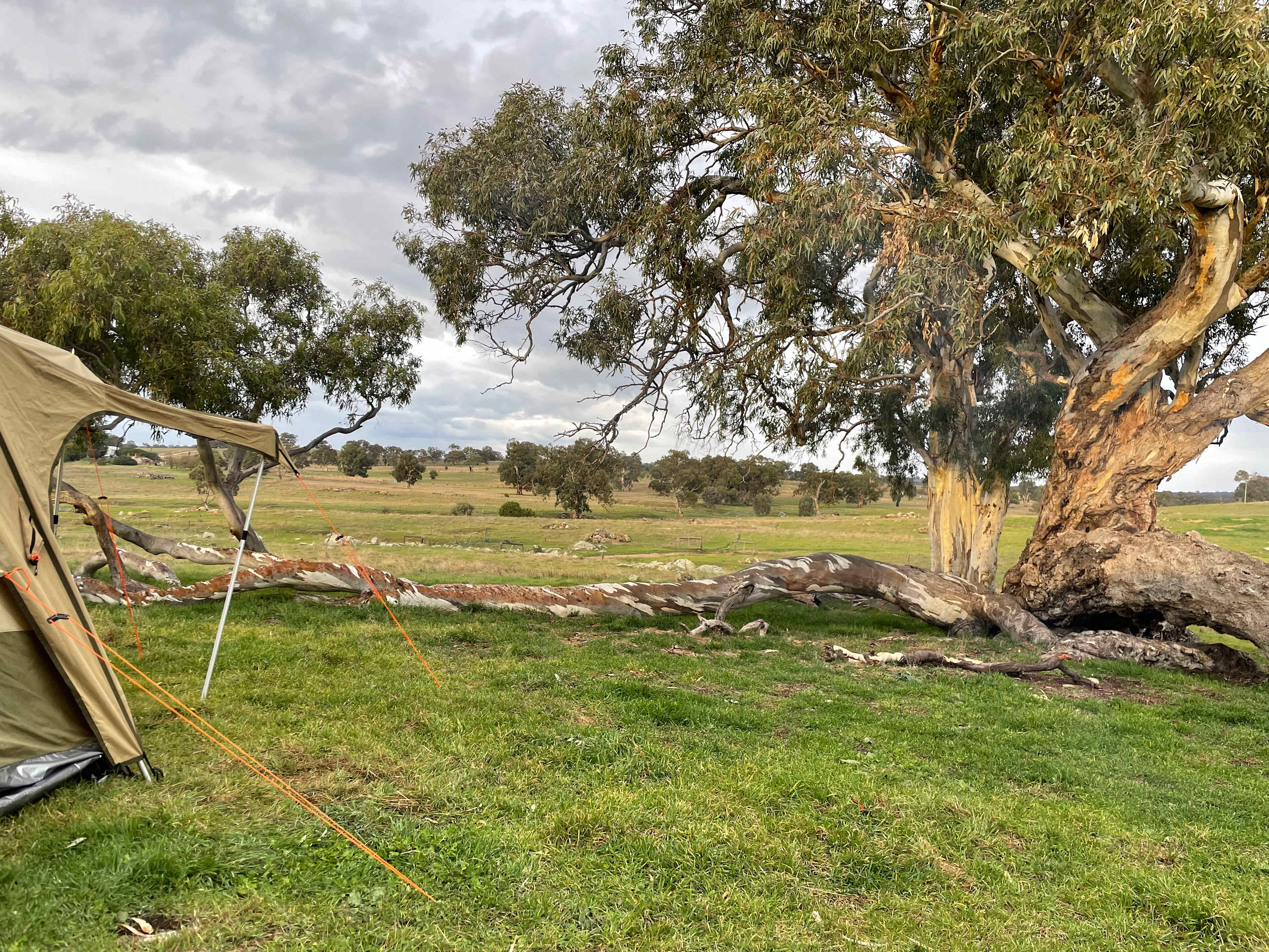 The Valley of Eden - Barossa