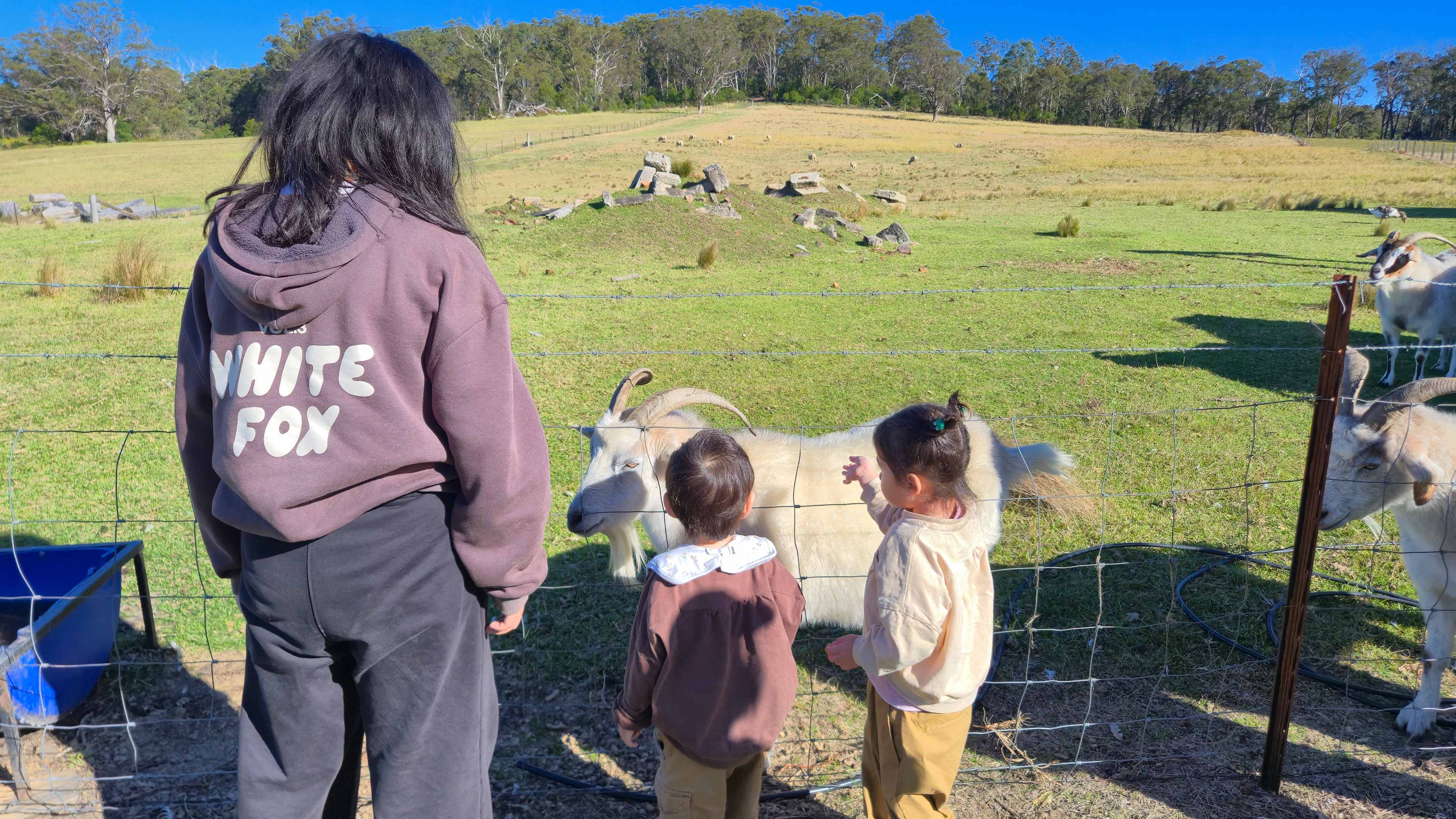 Undercliff Farm
