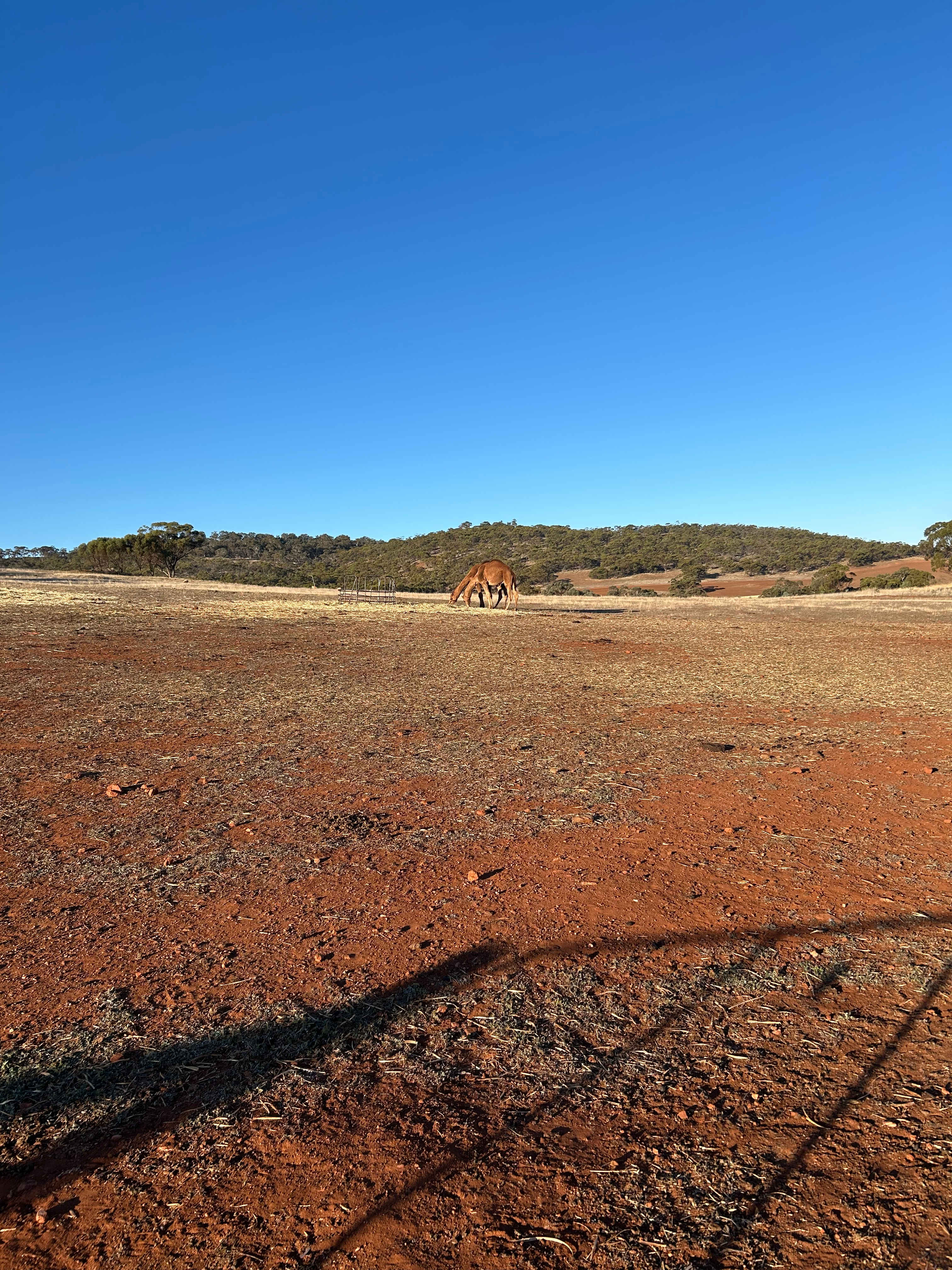 Sandalwood Downs  Farm Stay Toodyay