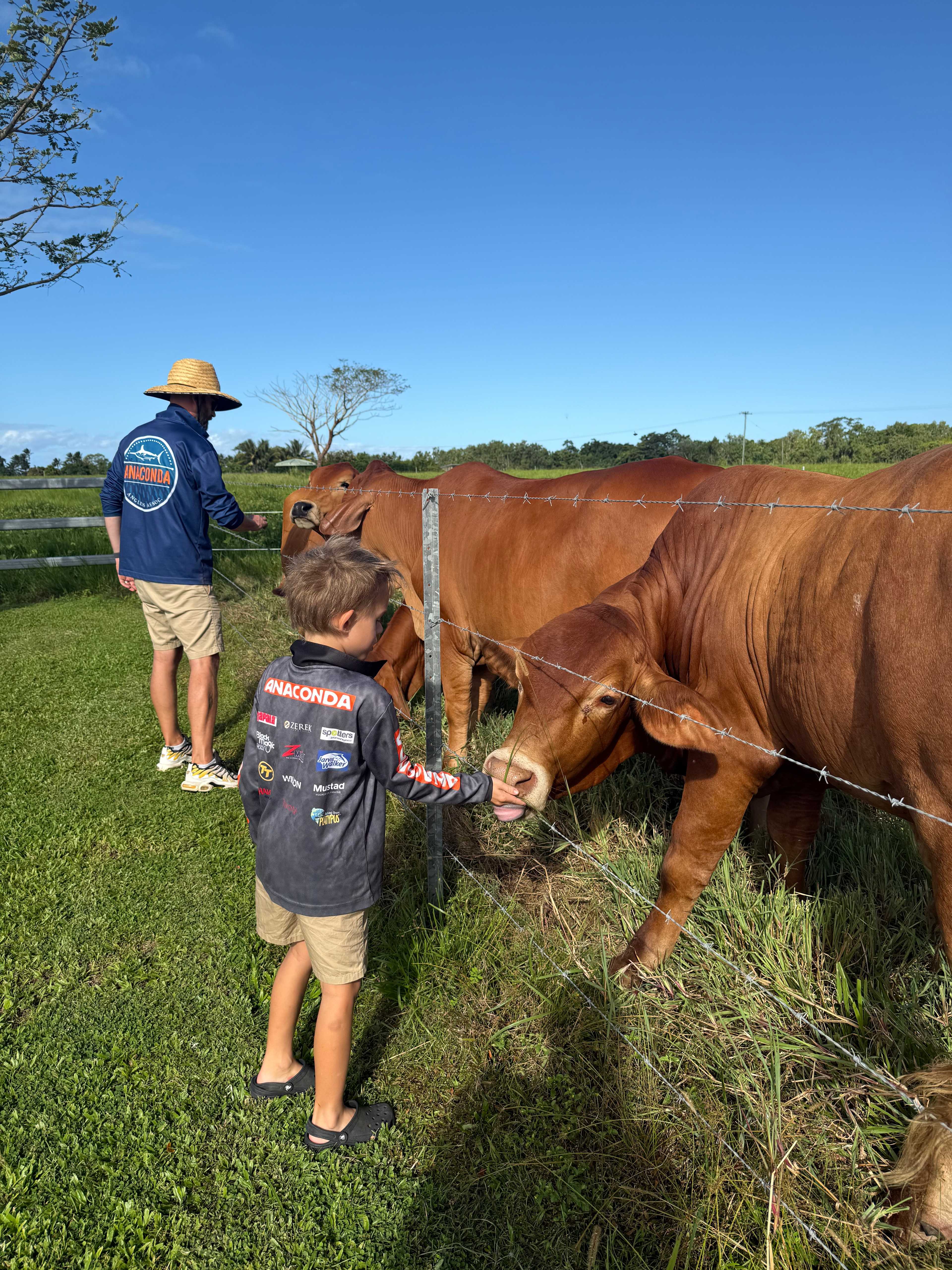 Newell Beach Farm Stay