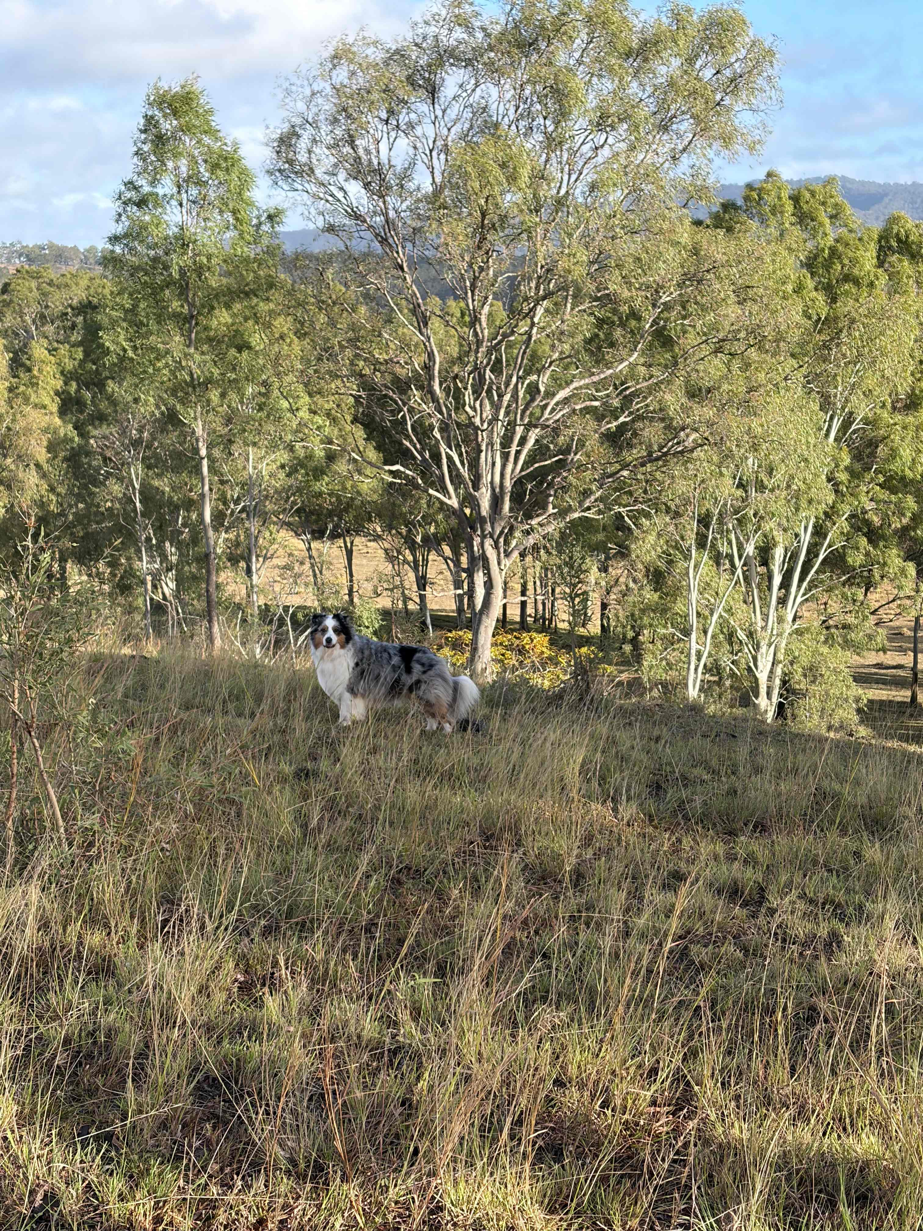 Eastgrove, Running Creek