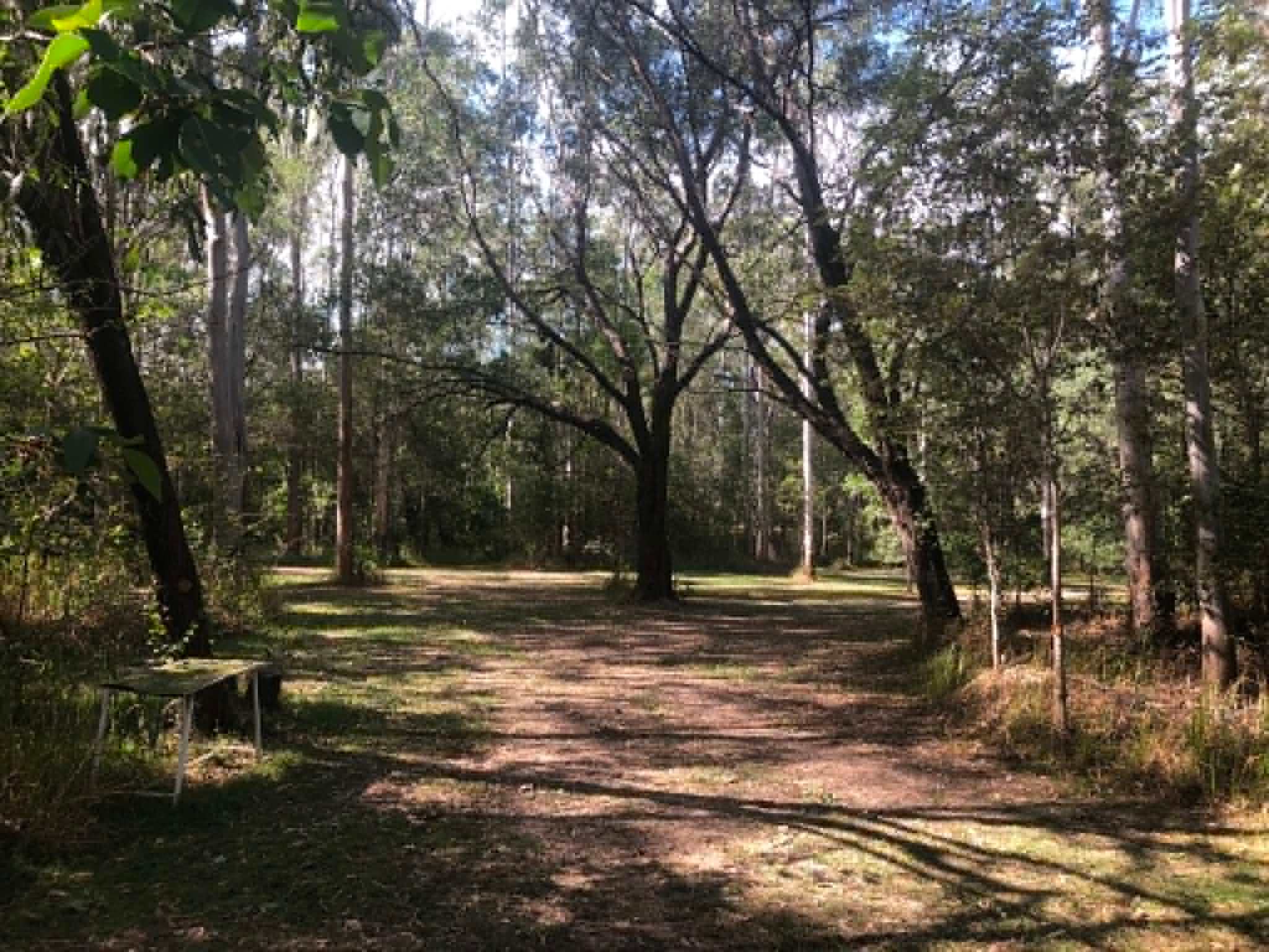 Flynn's Camp