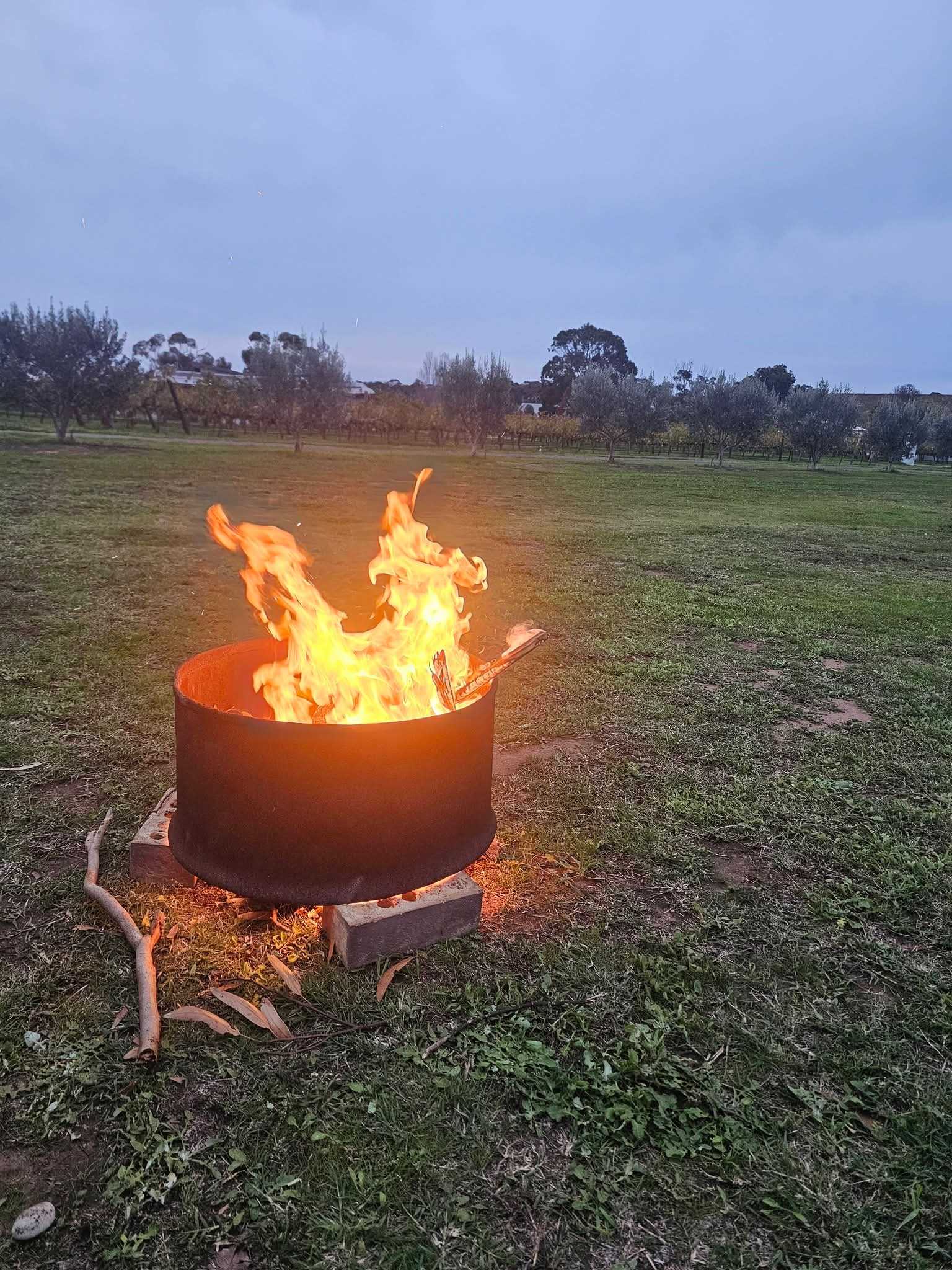 Six Strings - McLaren Vale Vineyard