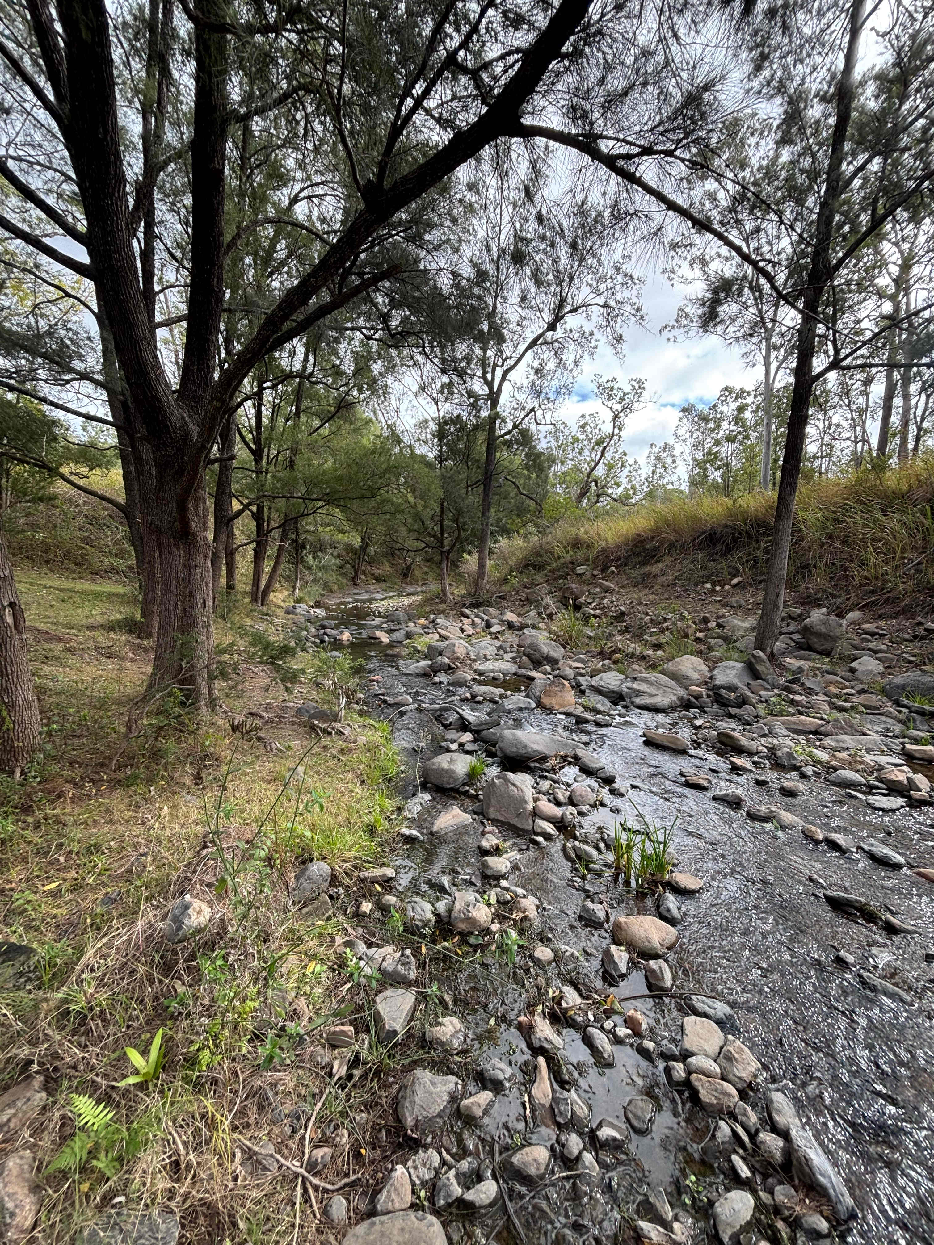 Over the Creek