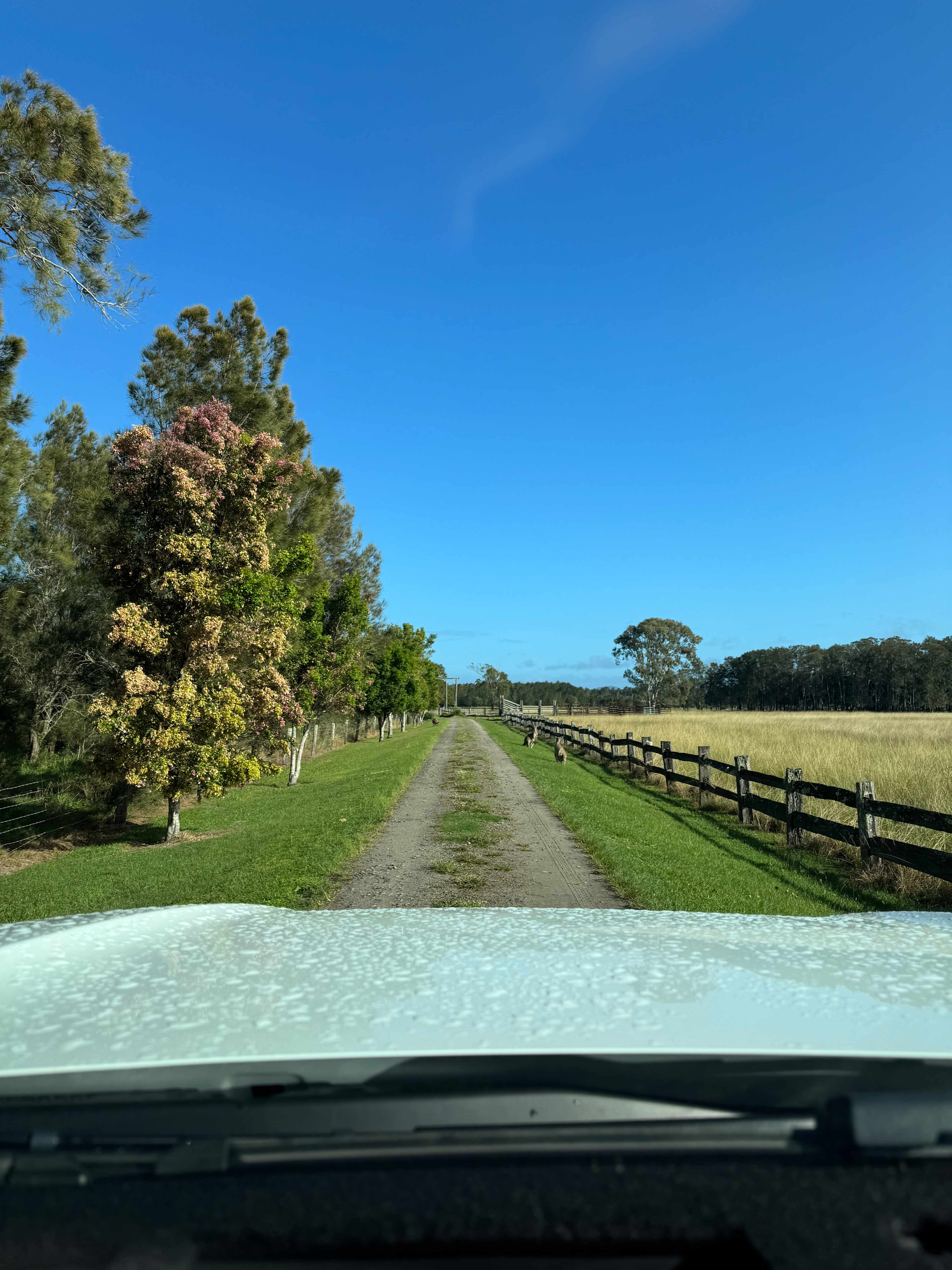 Driveway on the way out. 