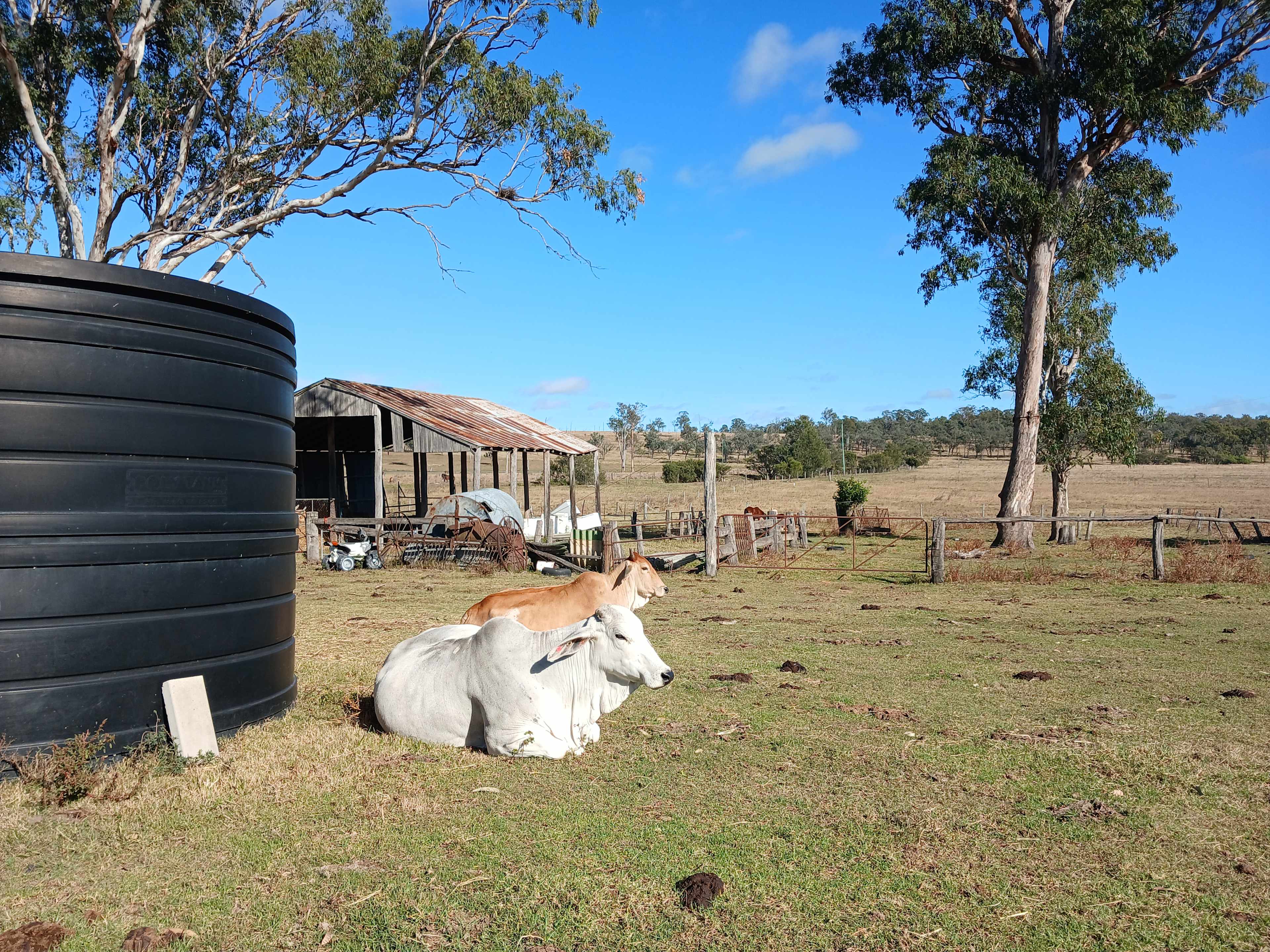 Adavale Farm experience