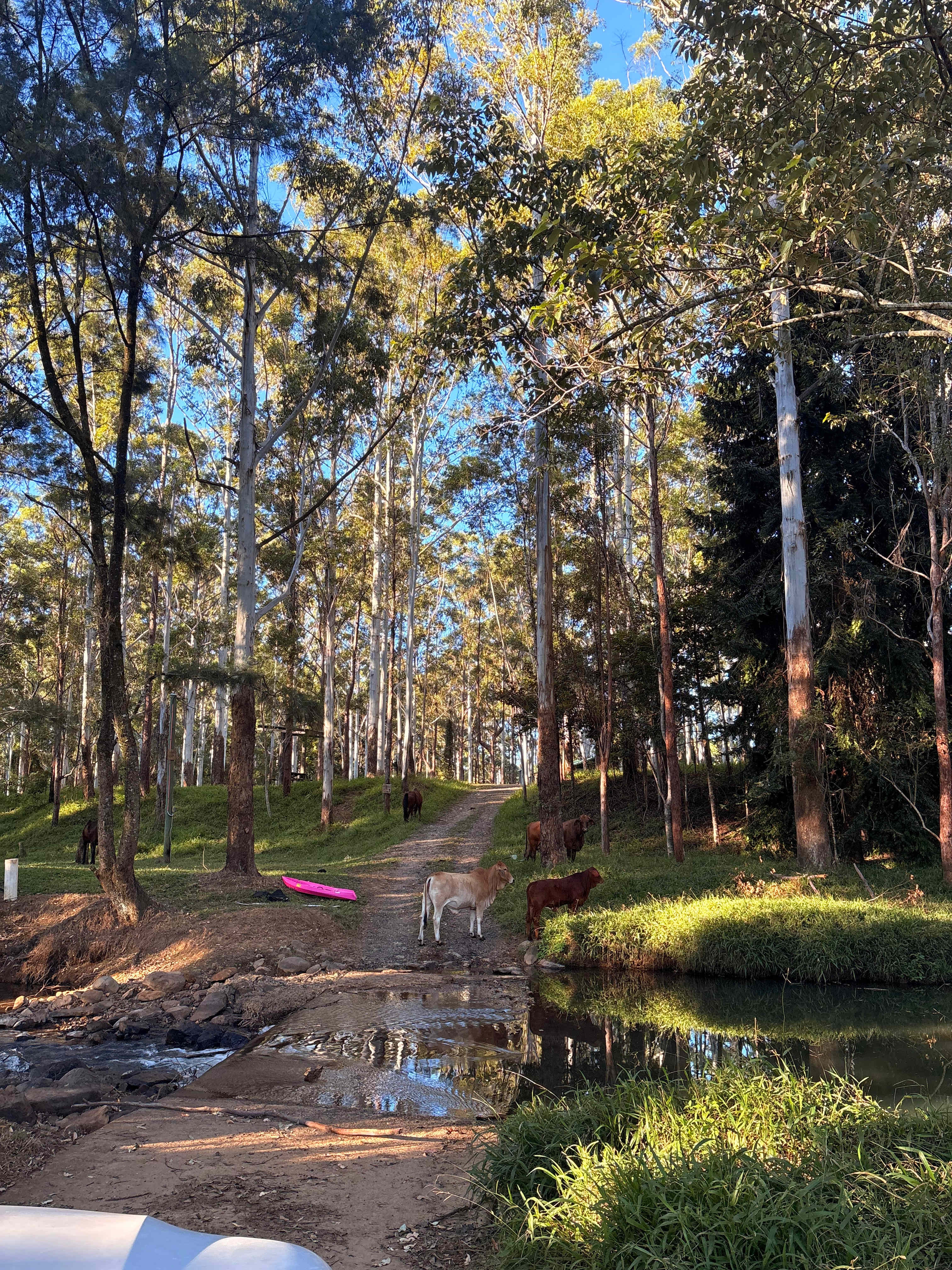 main access to campgrounds
