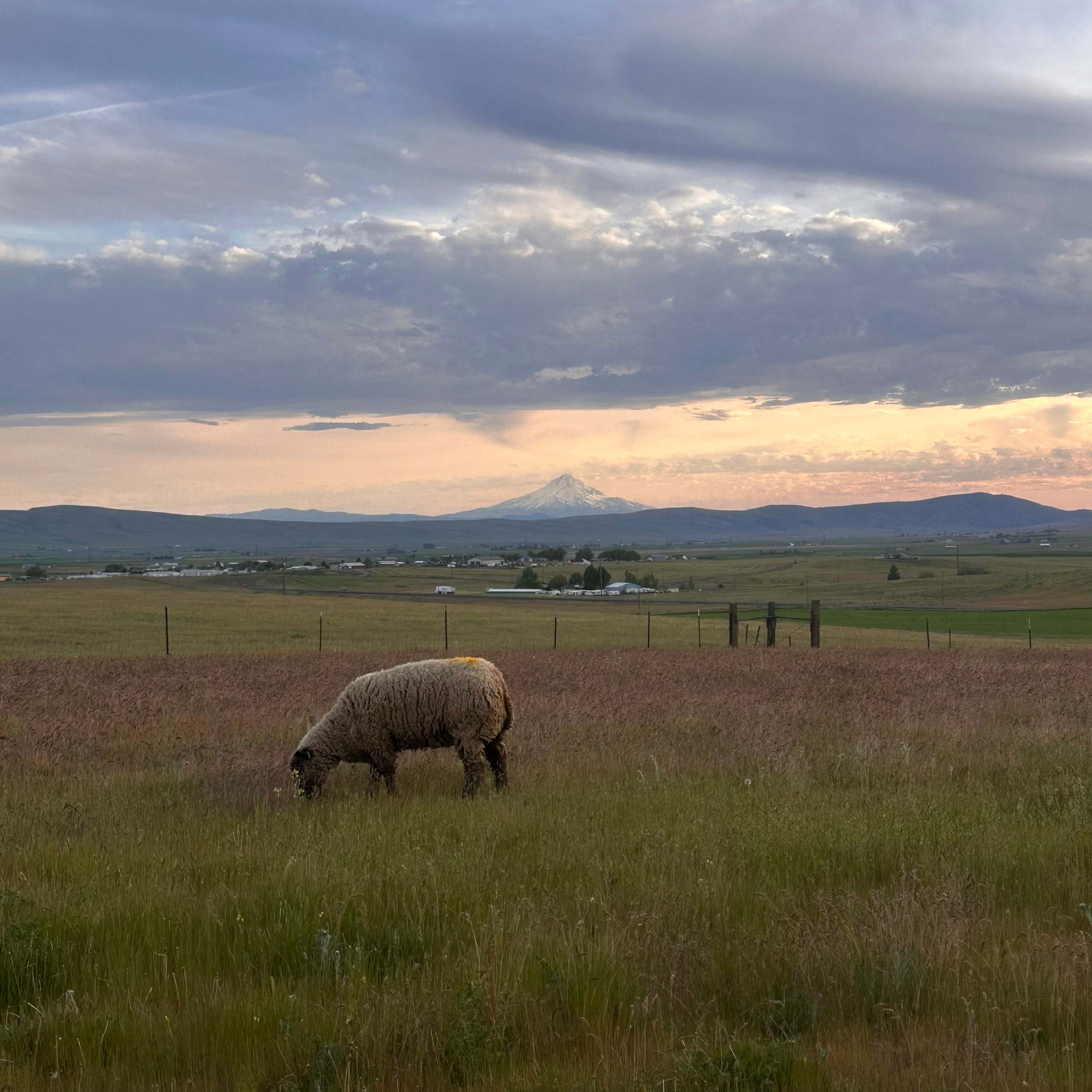 Lefever Holbrook Ranch
