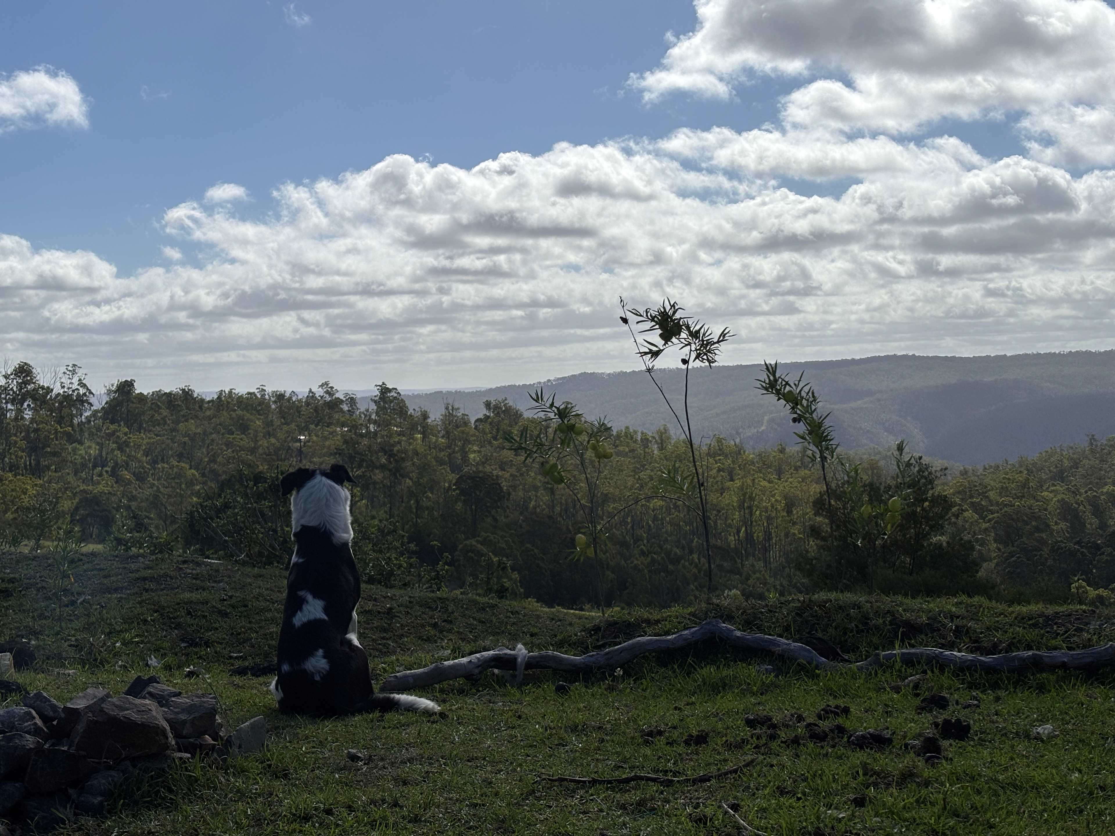 Foothills