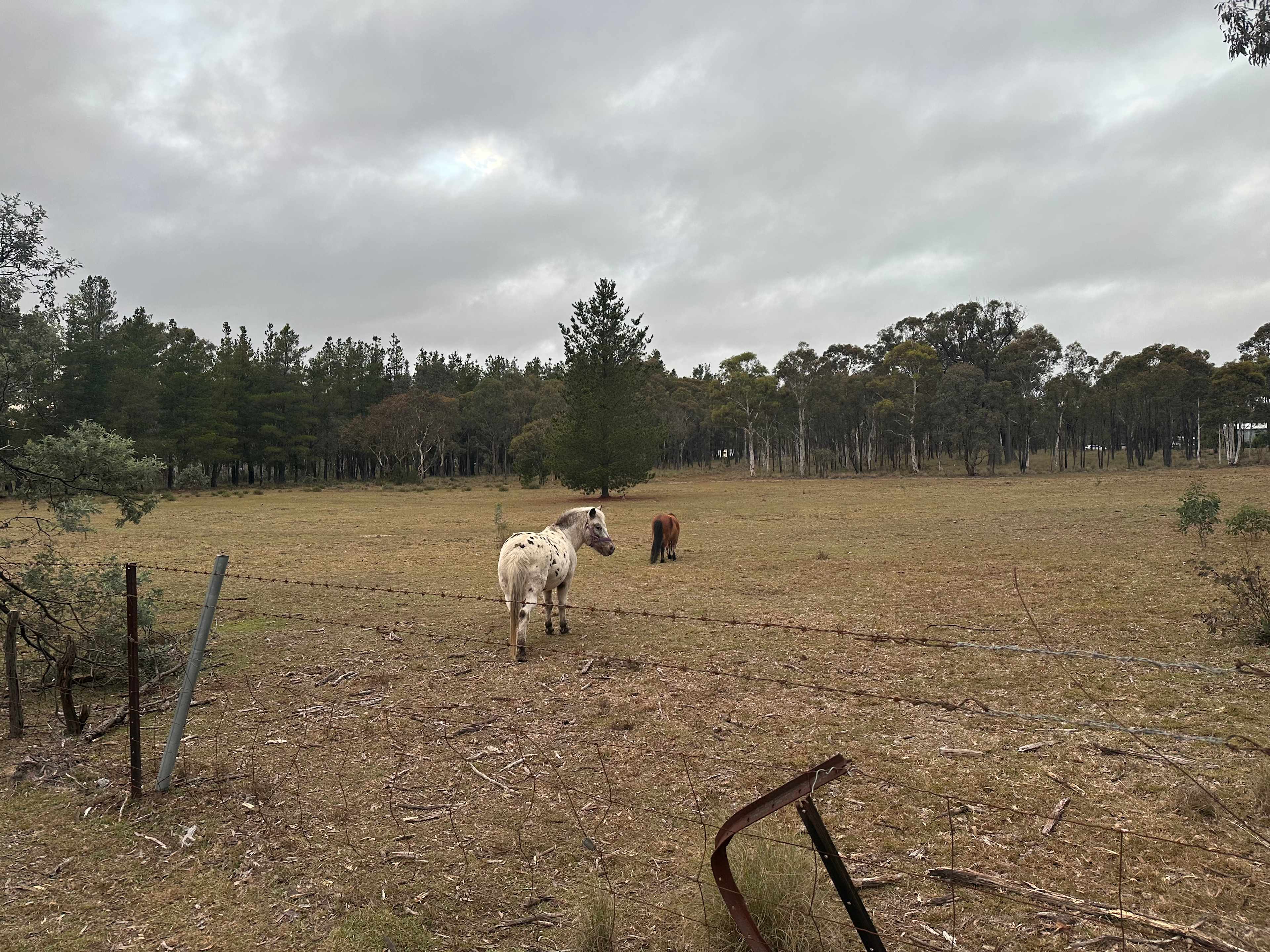 Miranda Springs Farm Stay