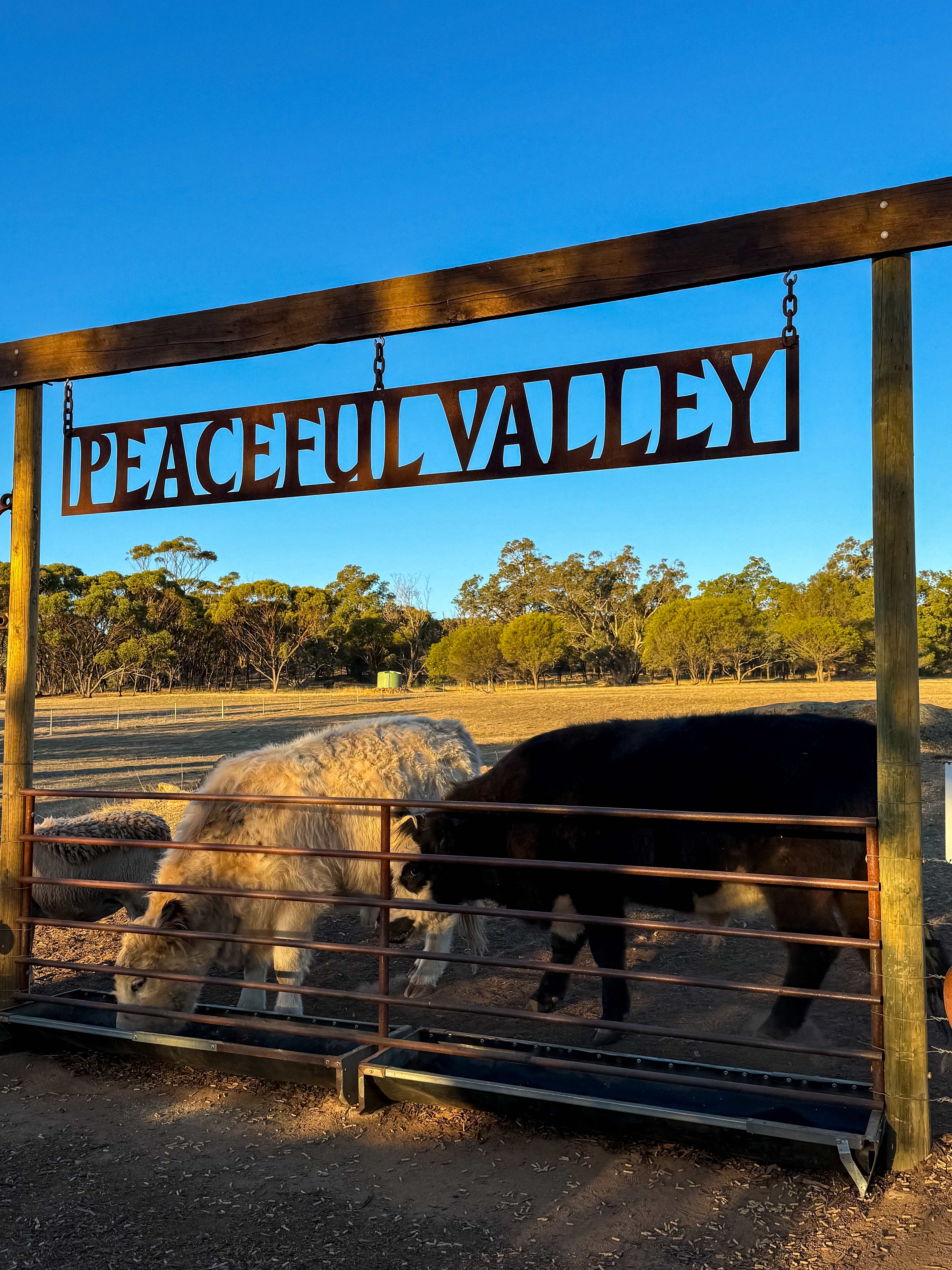 Peaceful Valley Farm