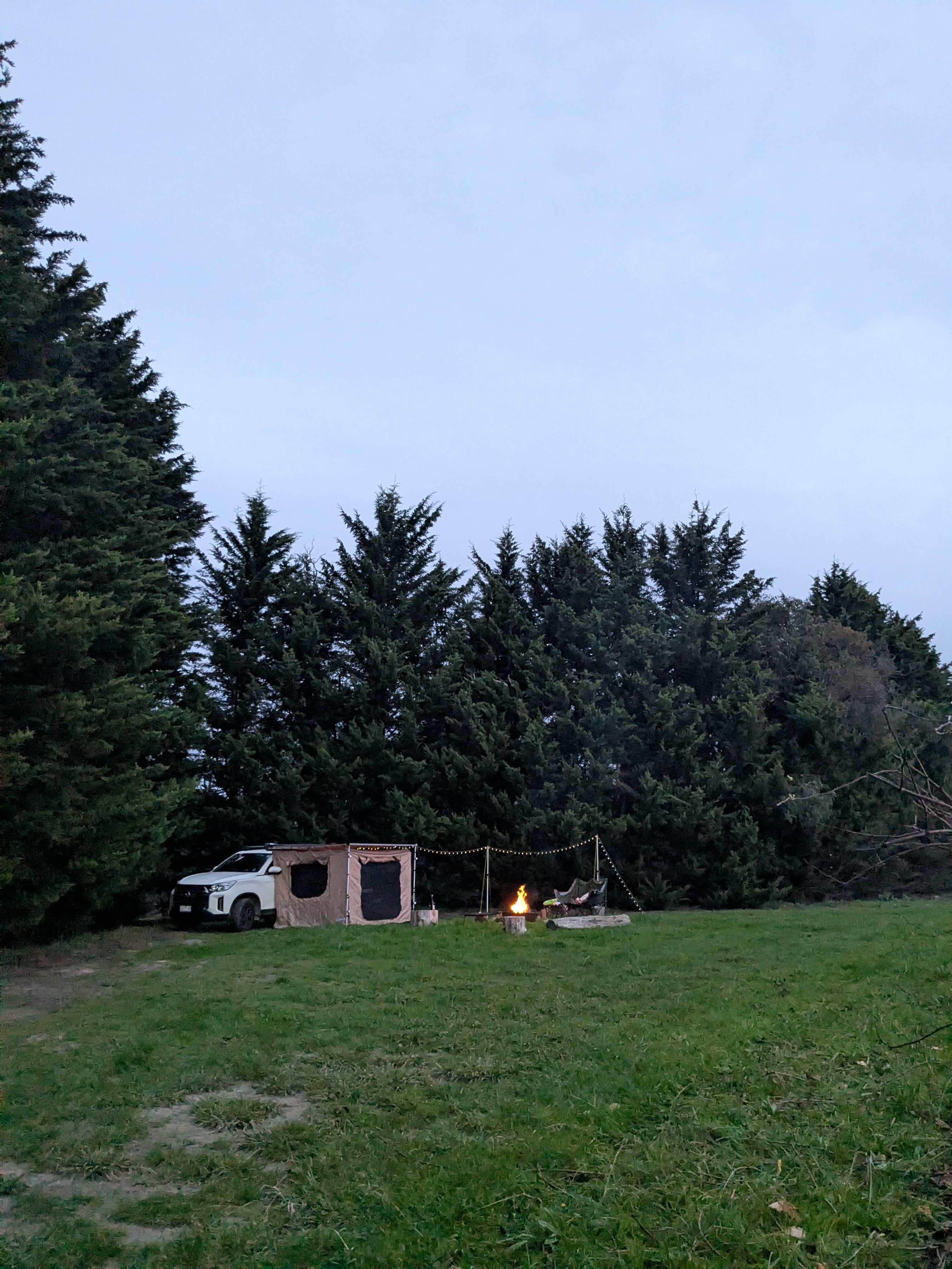 Summerhill Vineyard