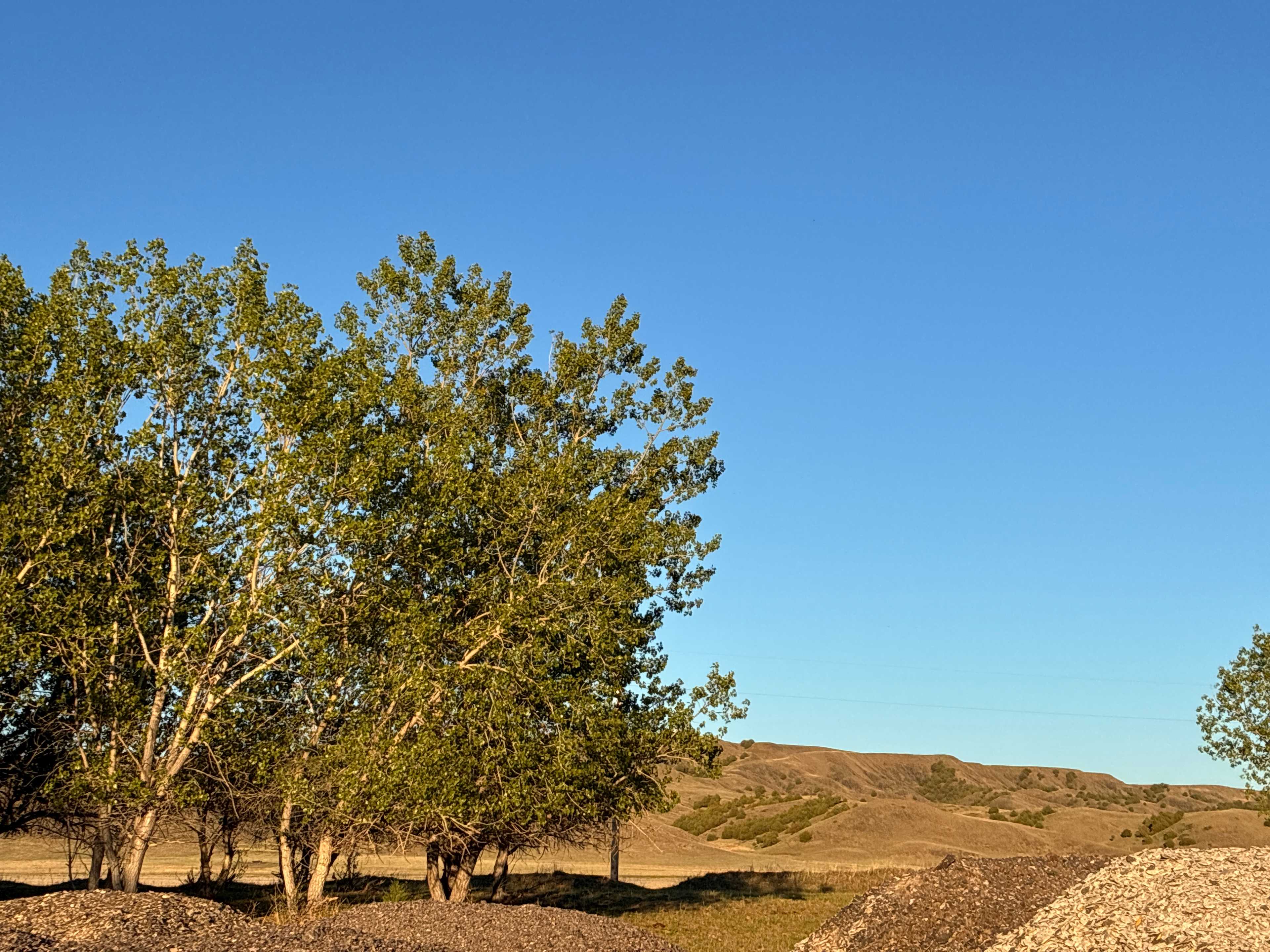 Ended up setting up camp in north side of gravel mounds per host recommendation