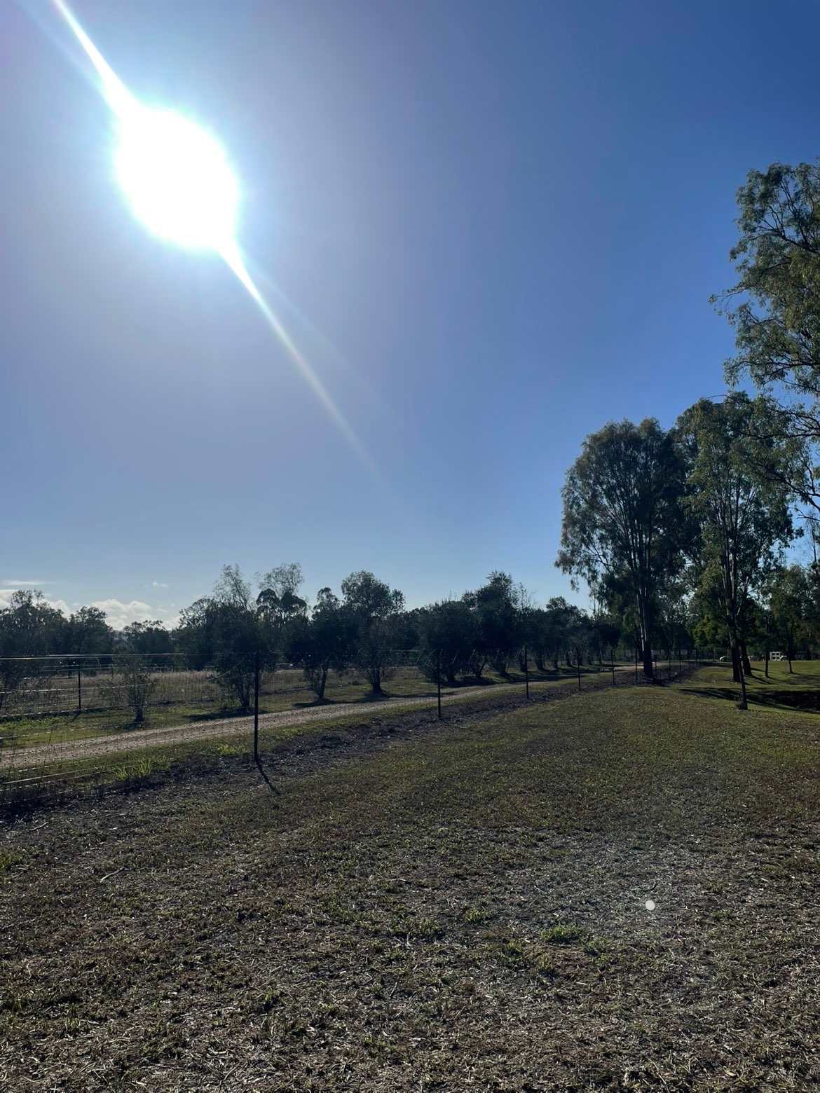 Rocky Creek Homestead