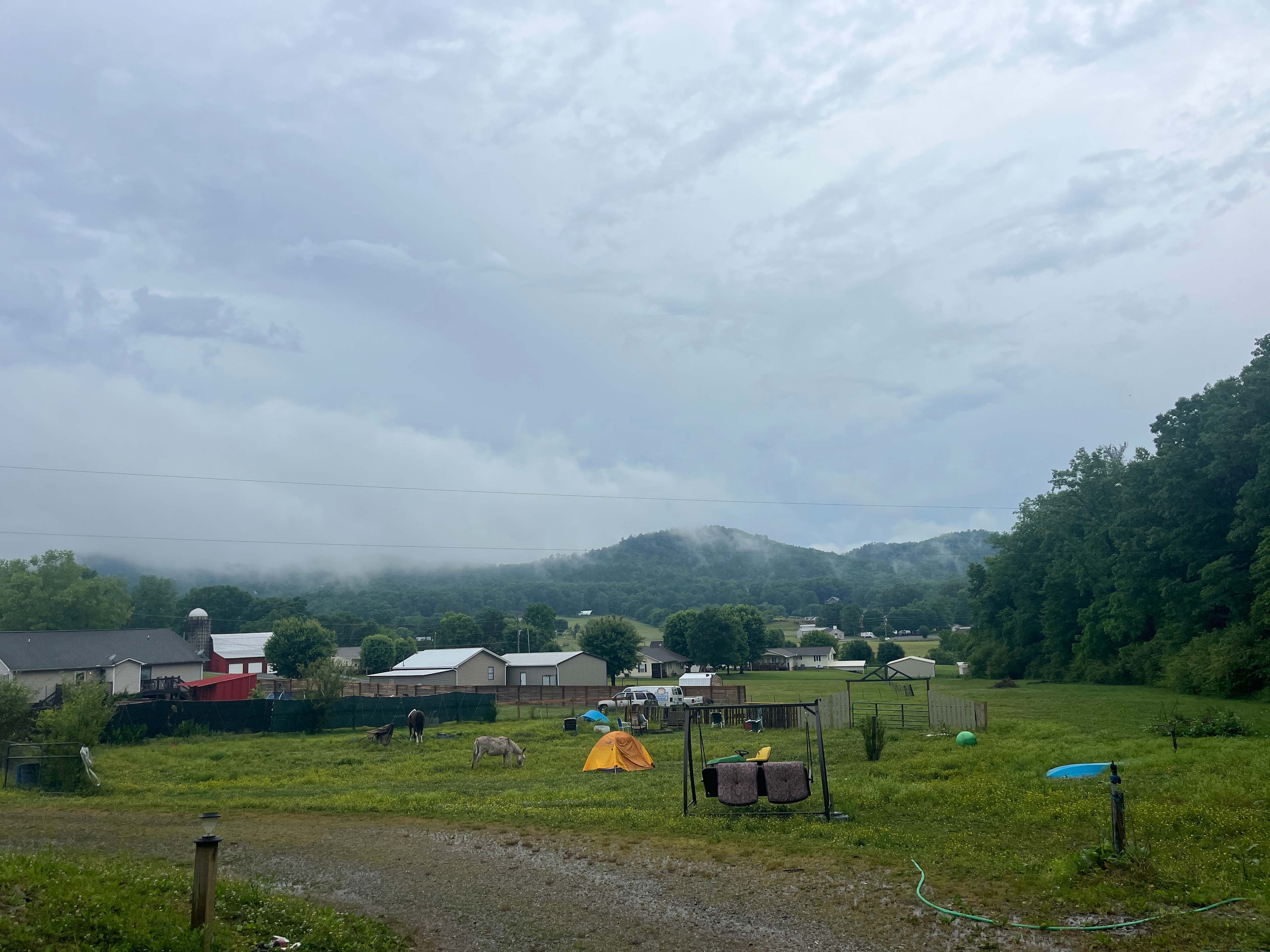Critter Camp