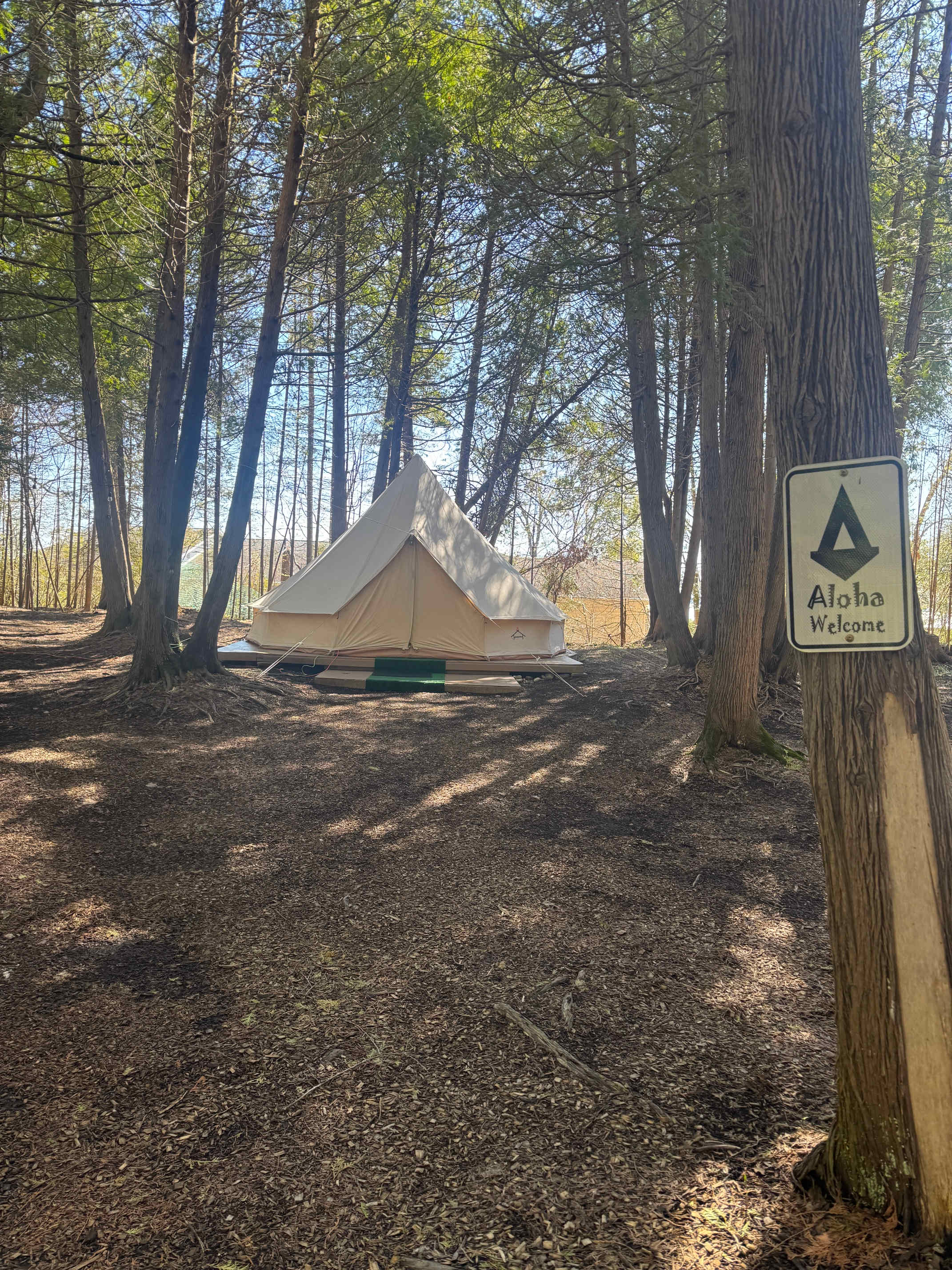 Tiki Hut Yurts