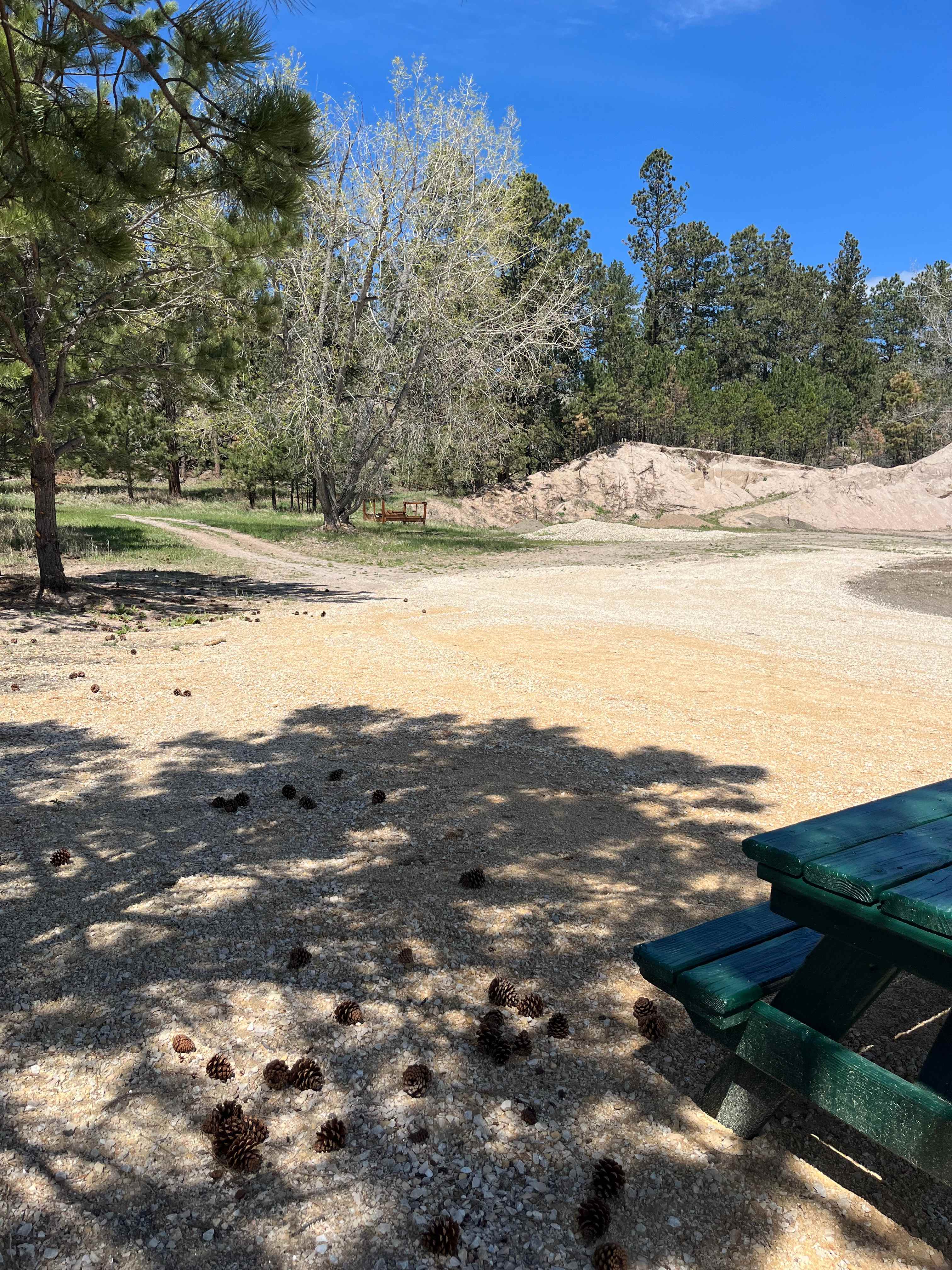 Picture of the site