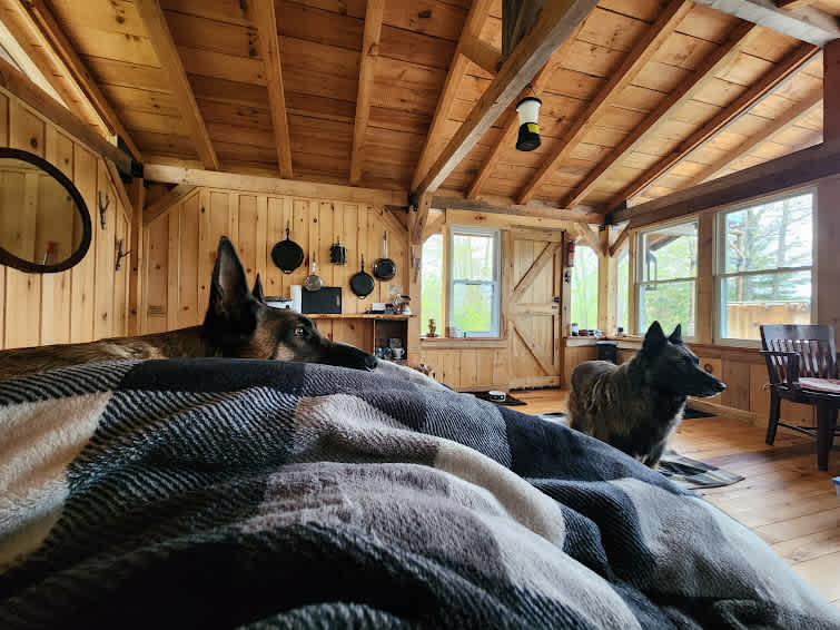 The Owls Nest @ Pustizzi Fruit Farm
