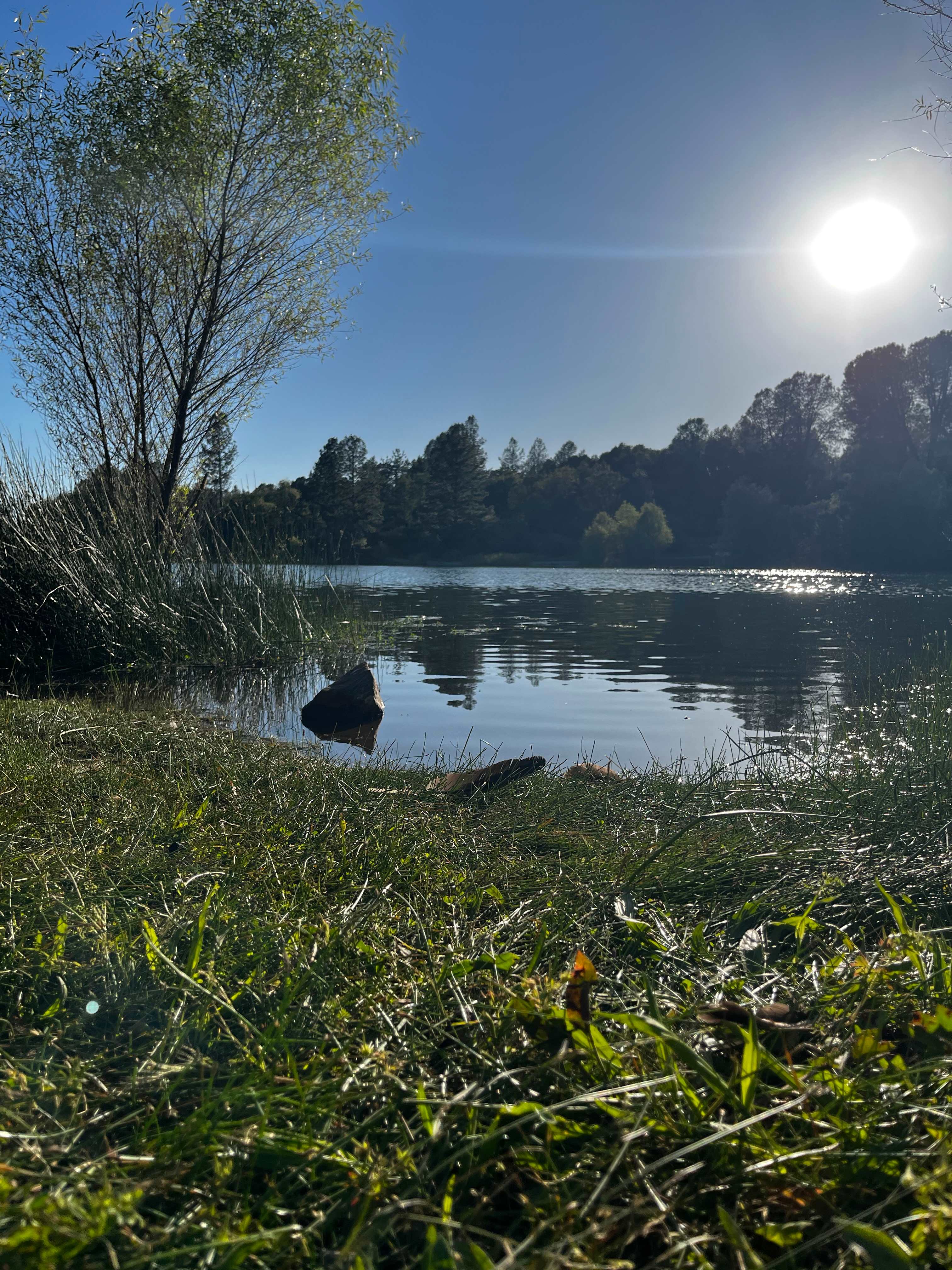 Finnon Lake Recreation Area