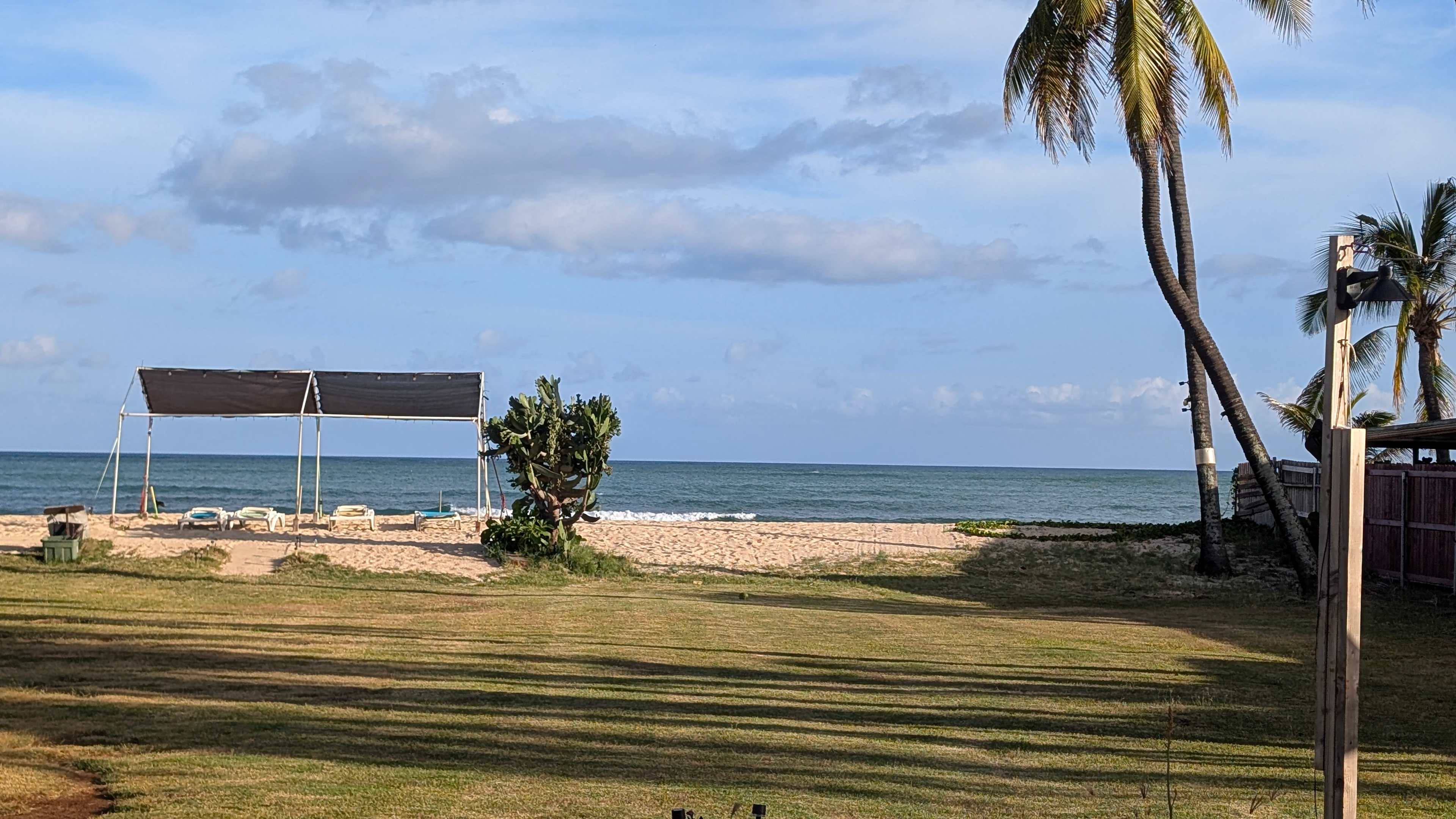 The Beach