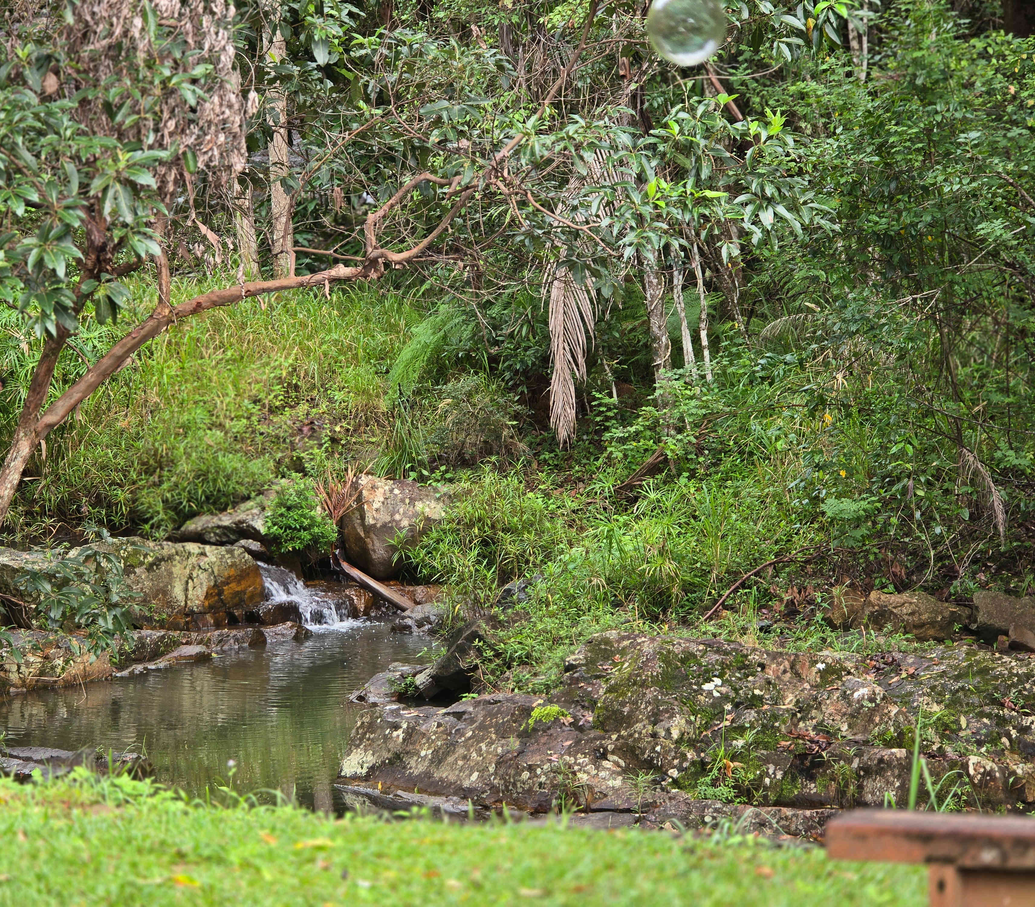 Chacara Creekside Camp