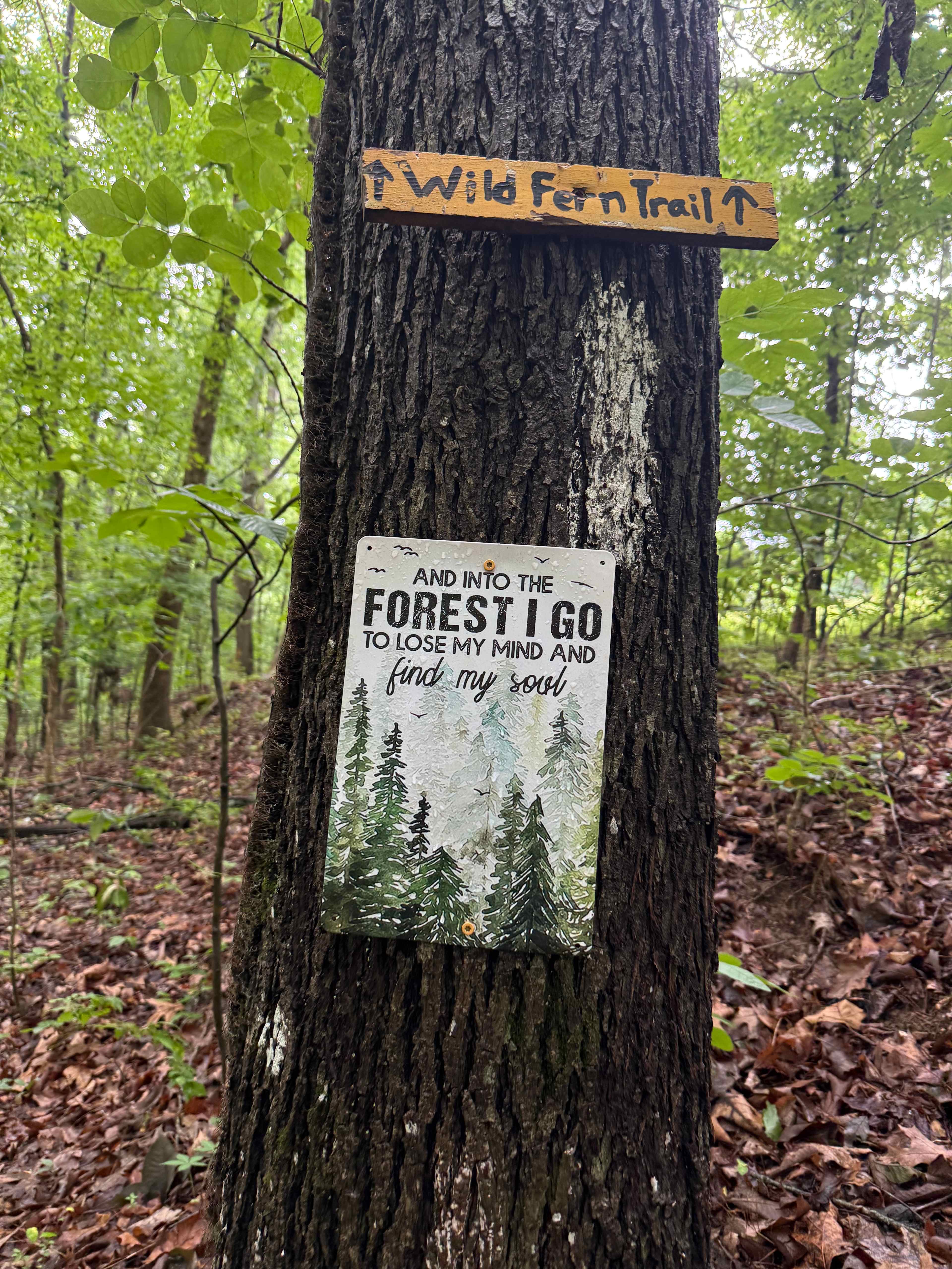 Maple Shade Farm full hookup site