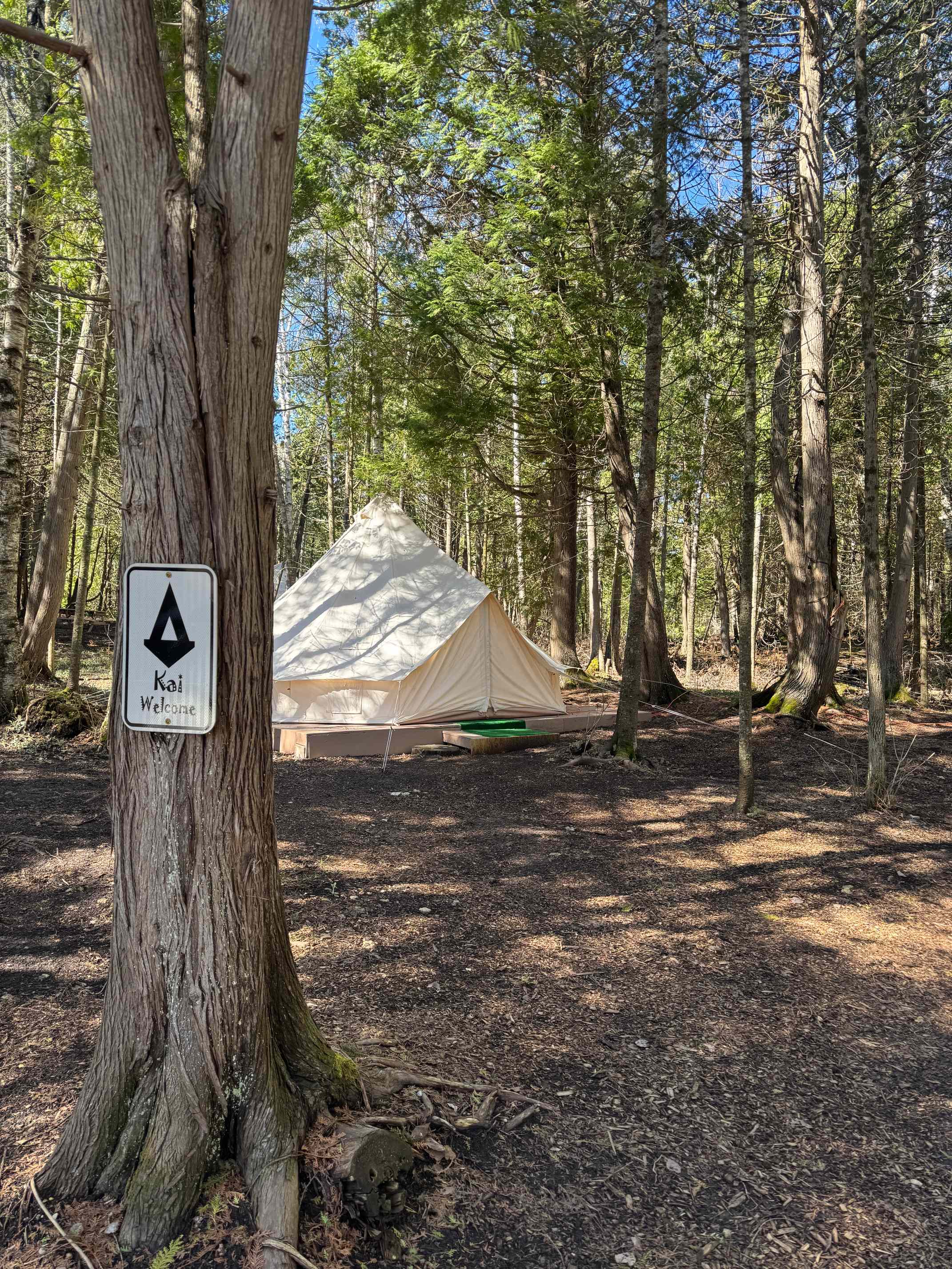 Tiki Hut Yurts