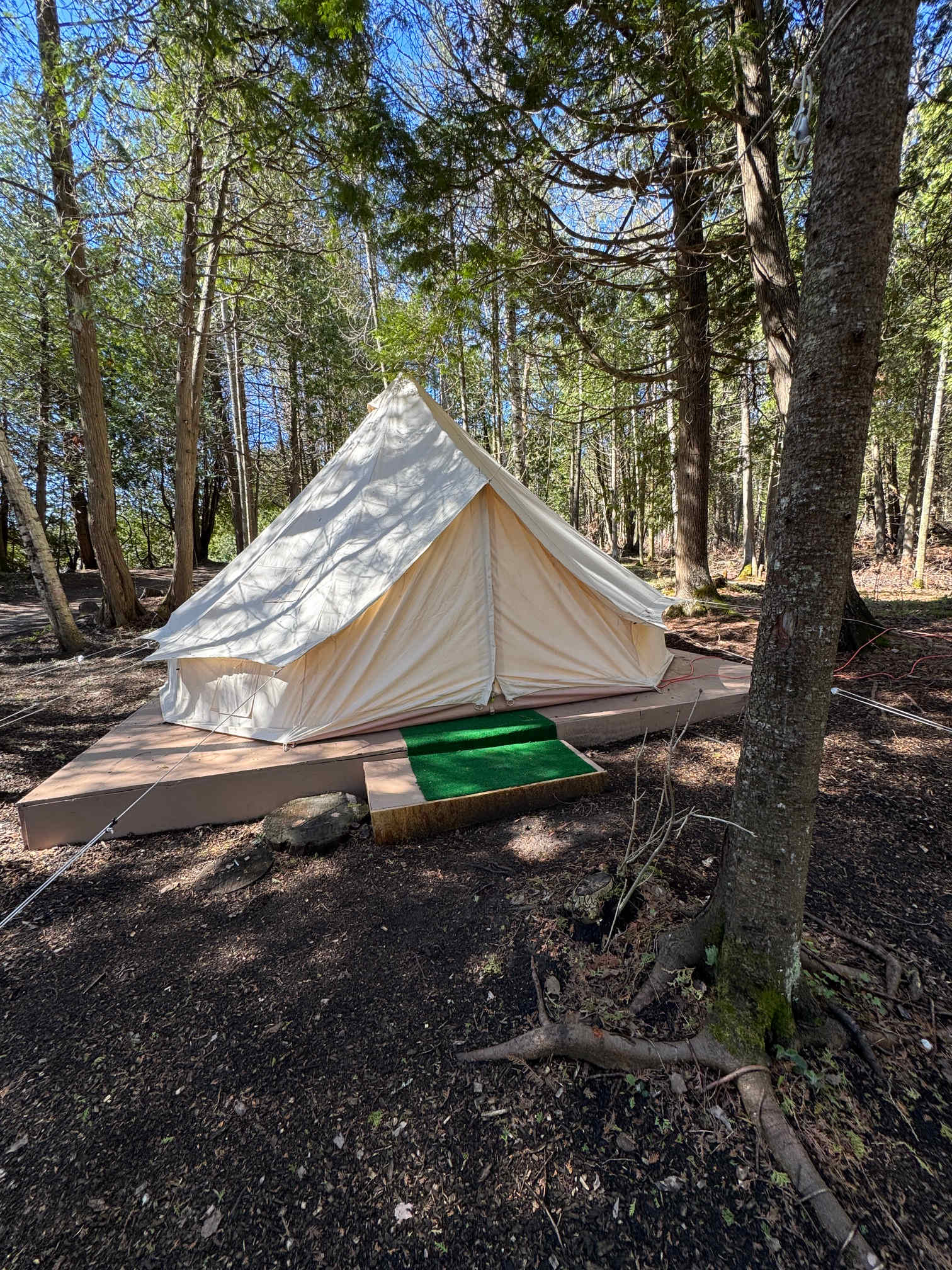 Picture of the site