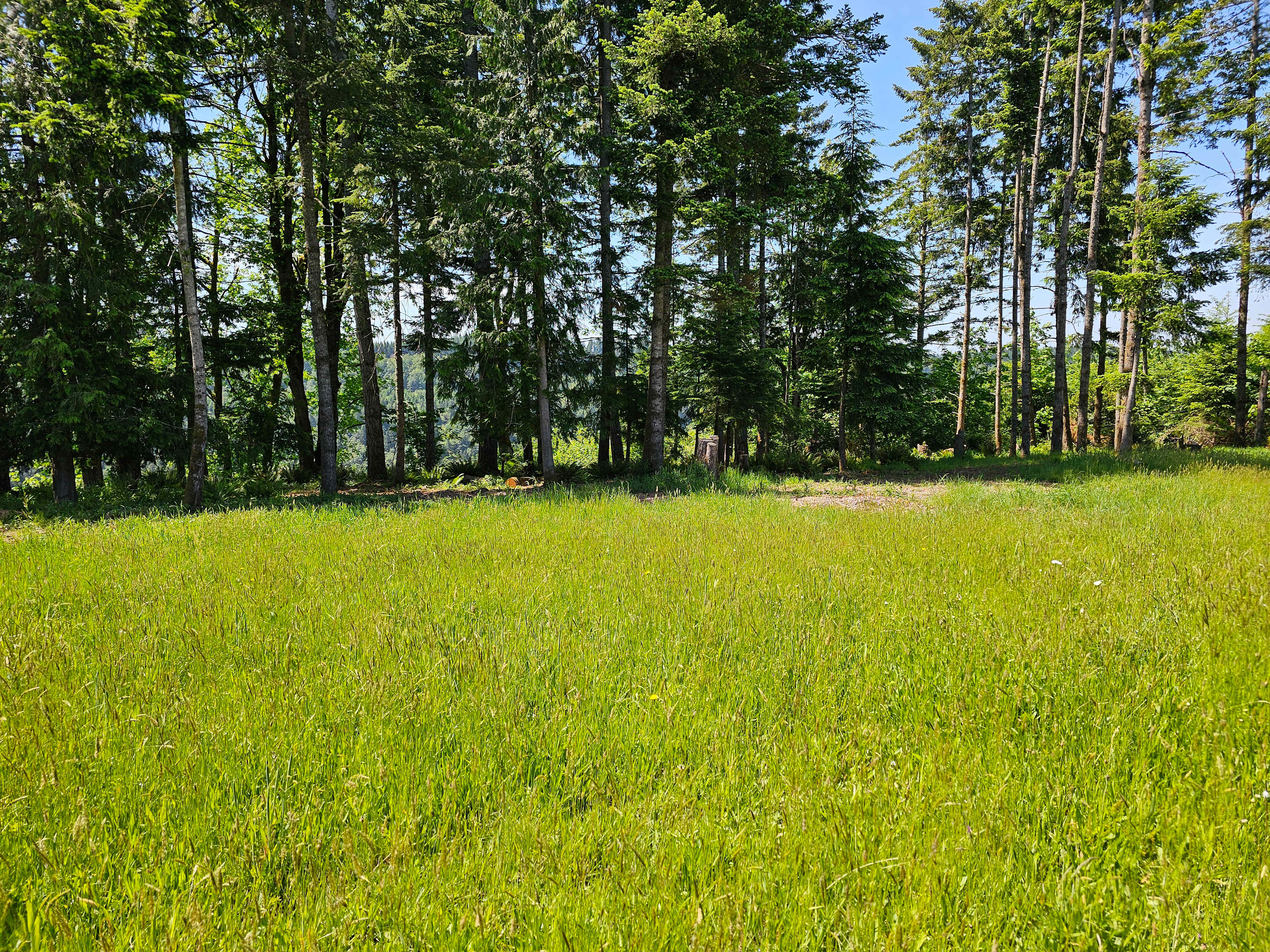Park in the meadow for full sun or on the forest fridge for shade.