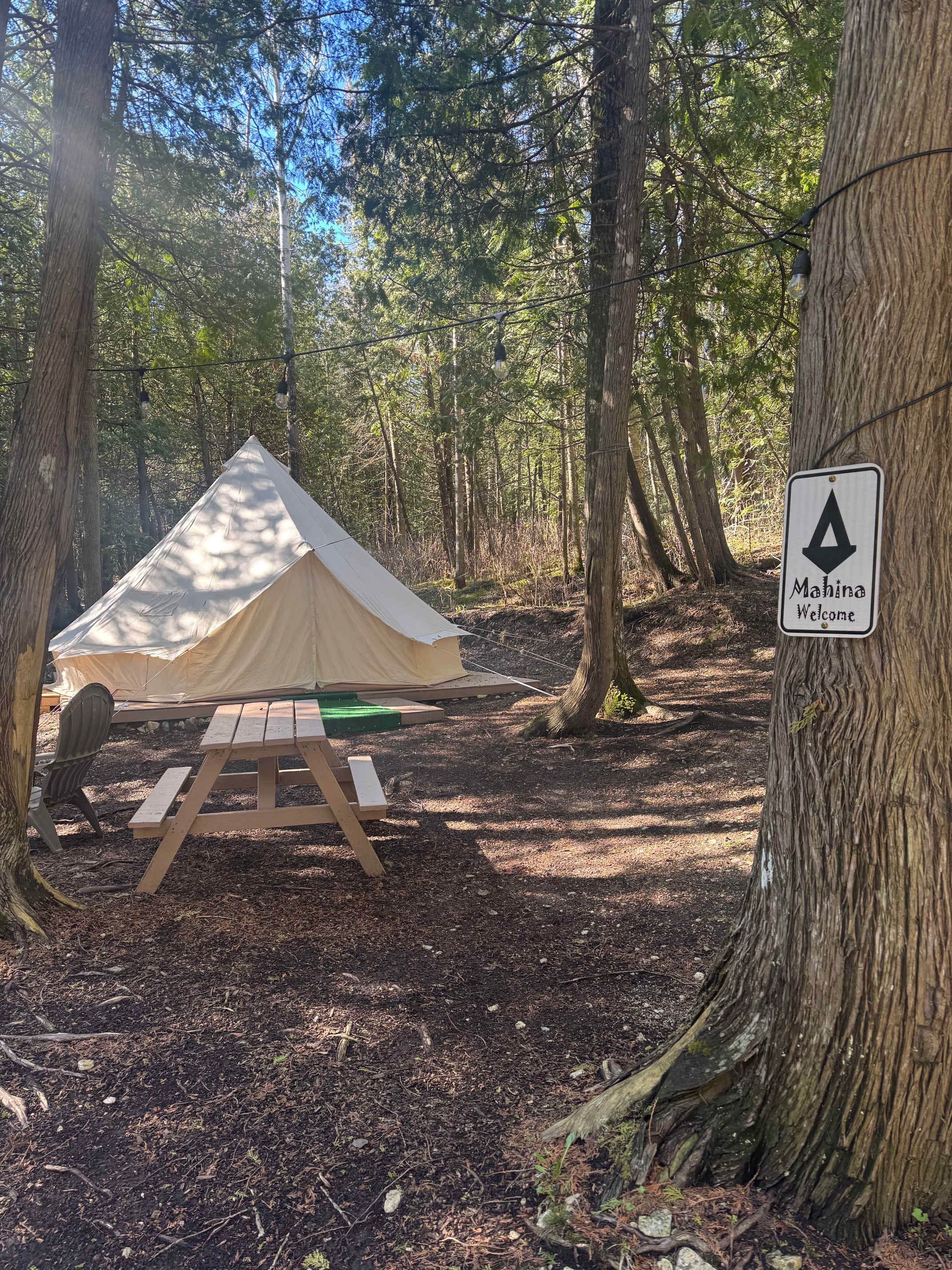 Tiki Hut Yurts