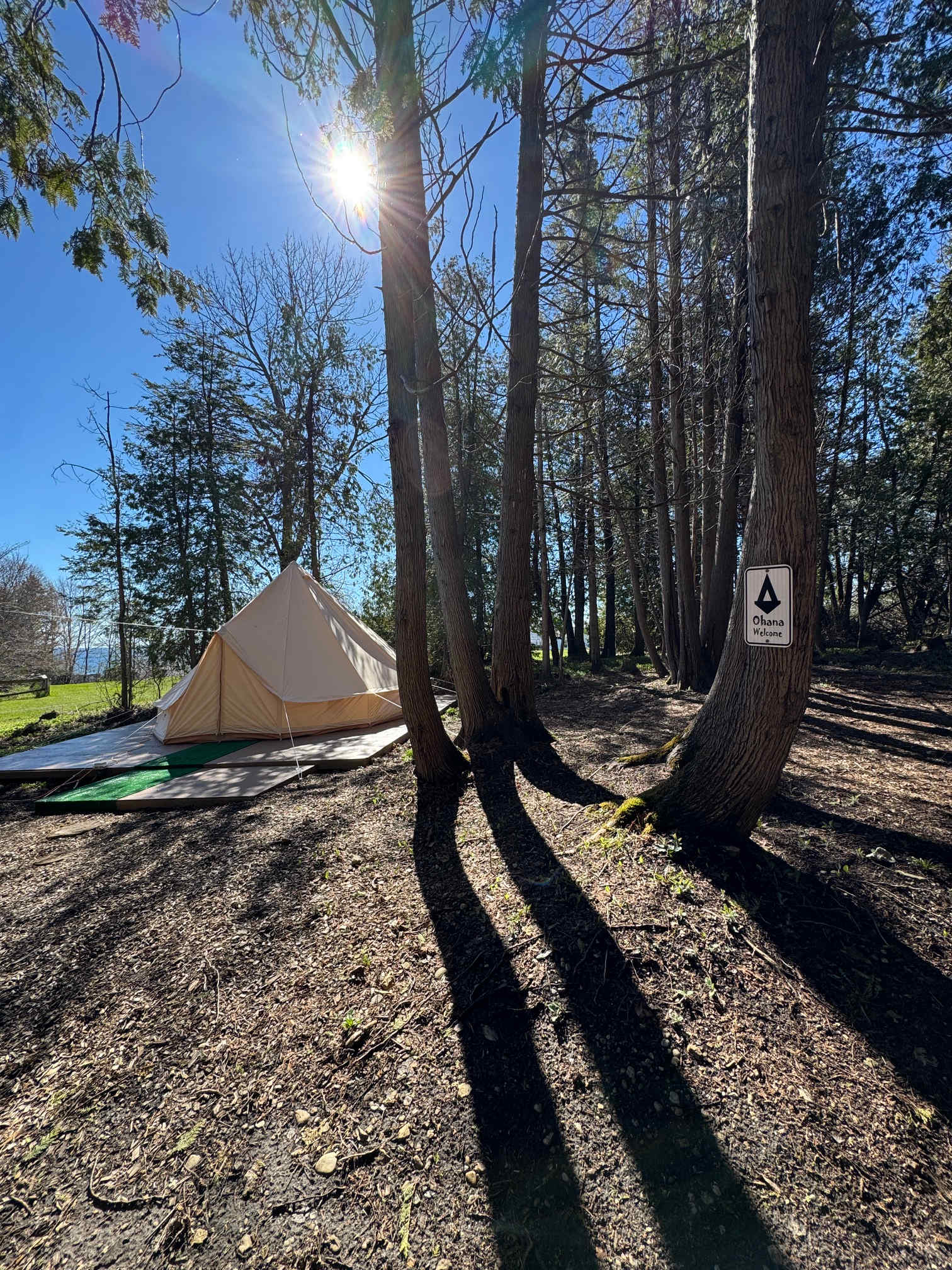 Tiki Hut Yurts