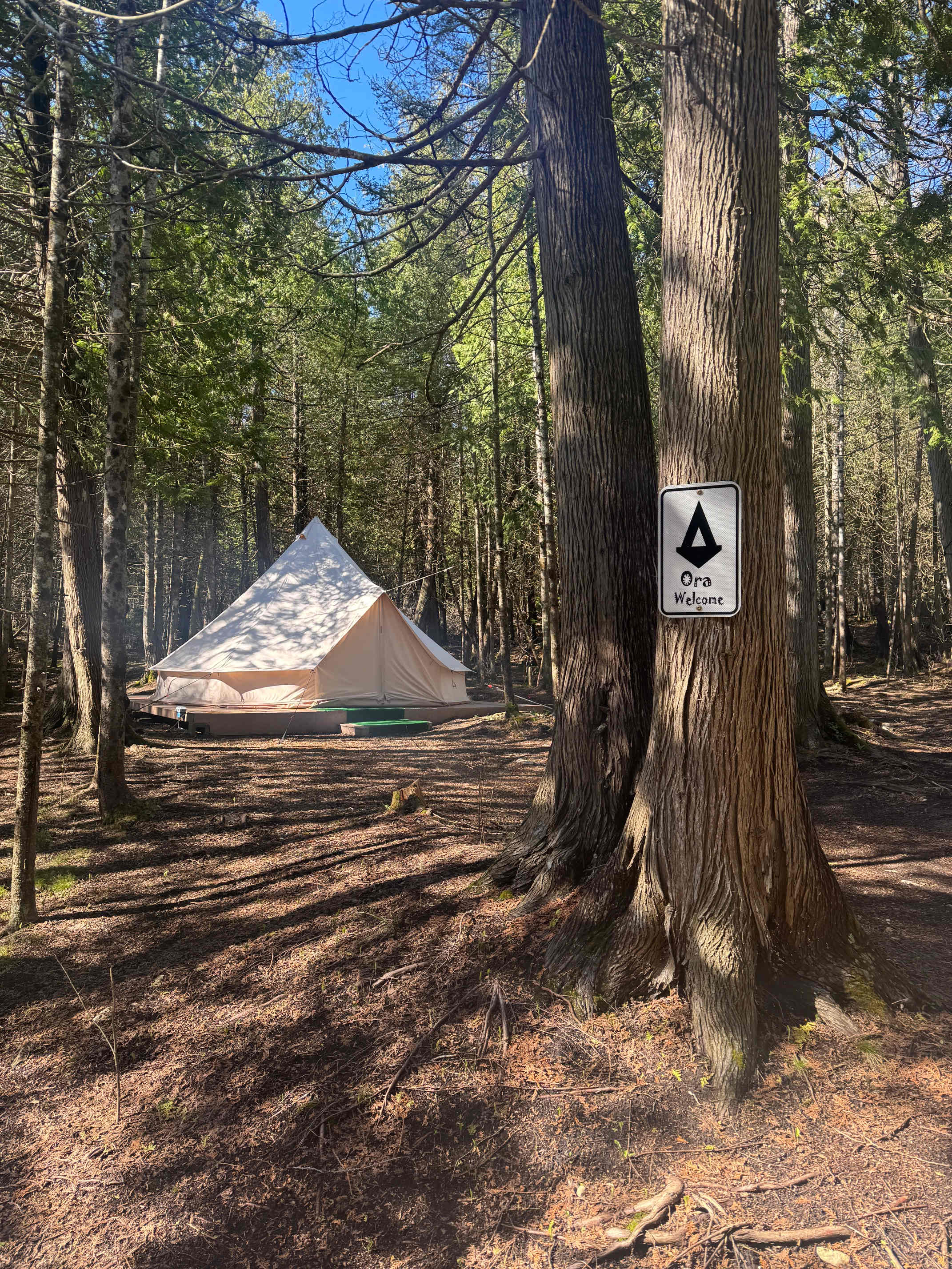 Tiki Hut Yurts