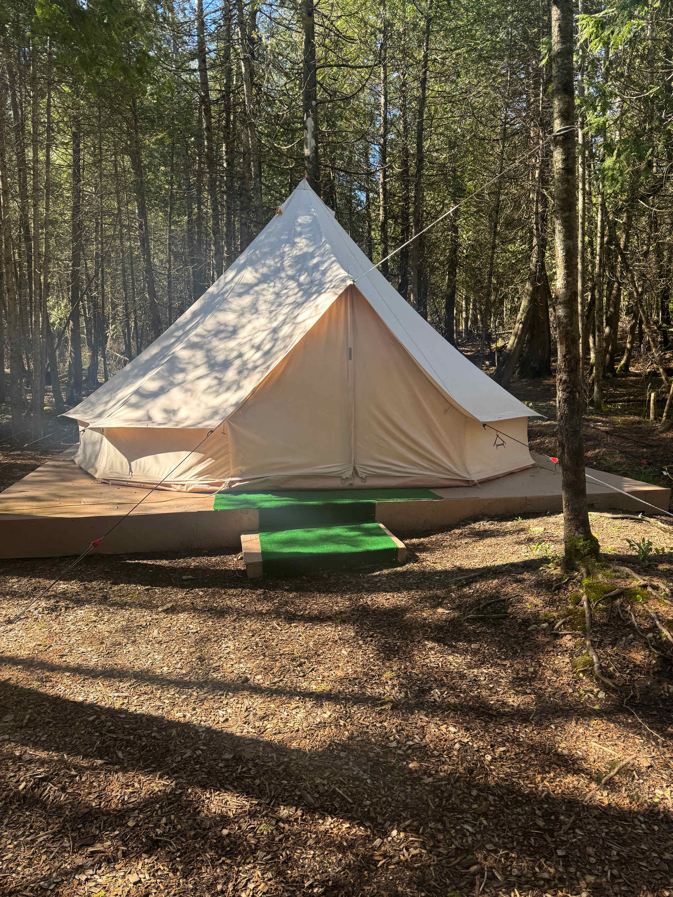 Picture of the site