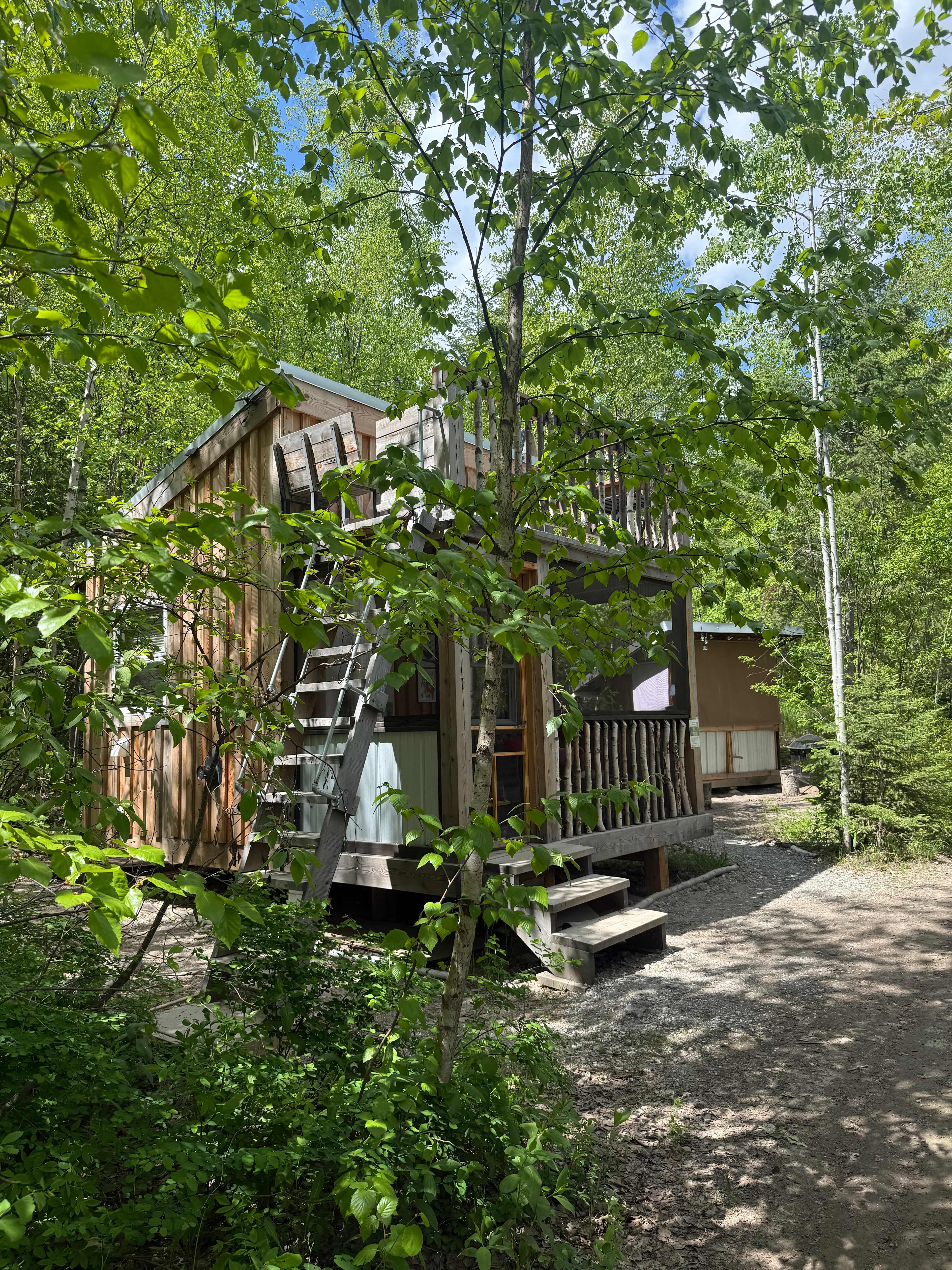Moonraker Treehouse & Cabins