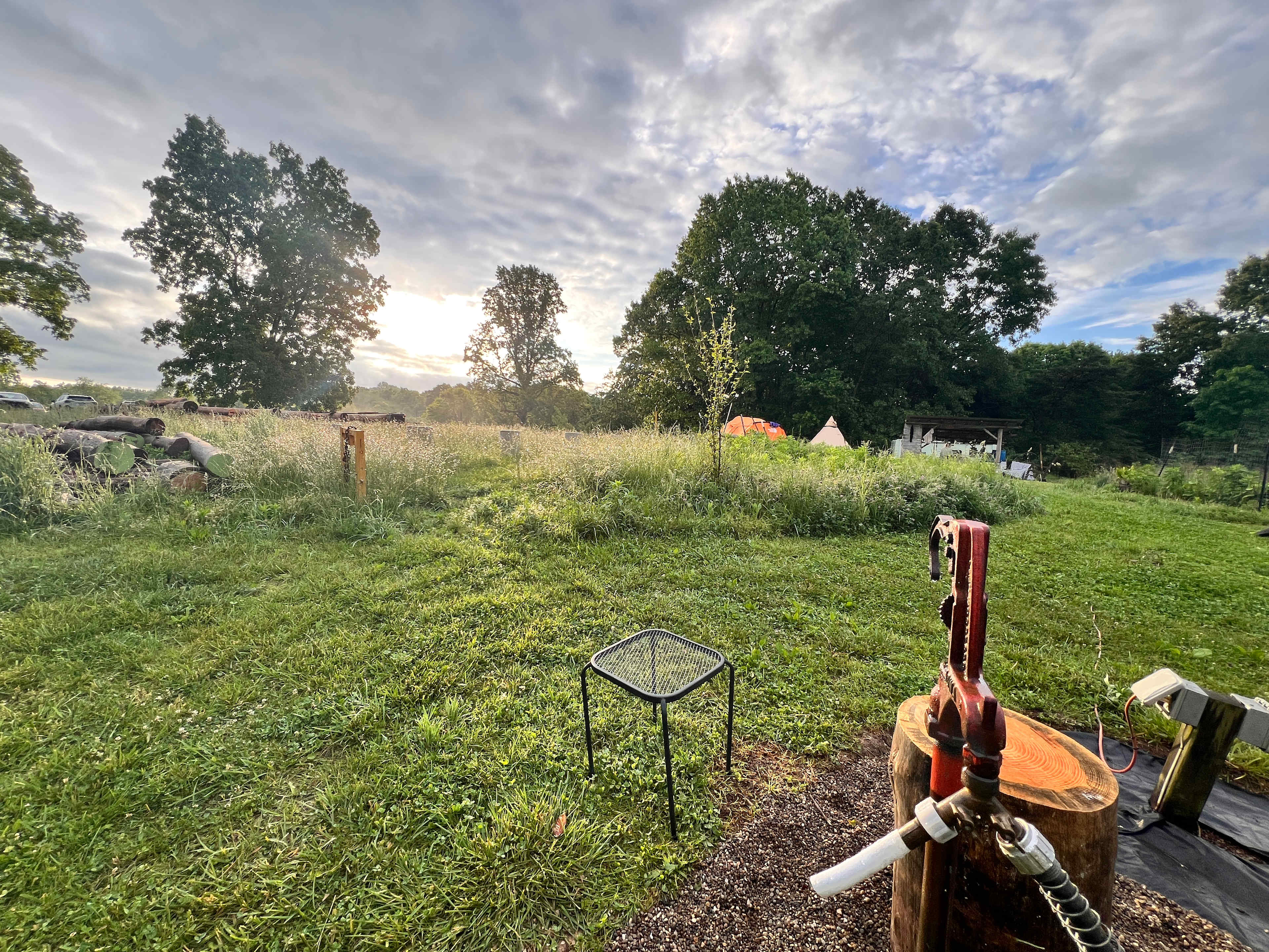 Picture of the site