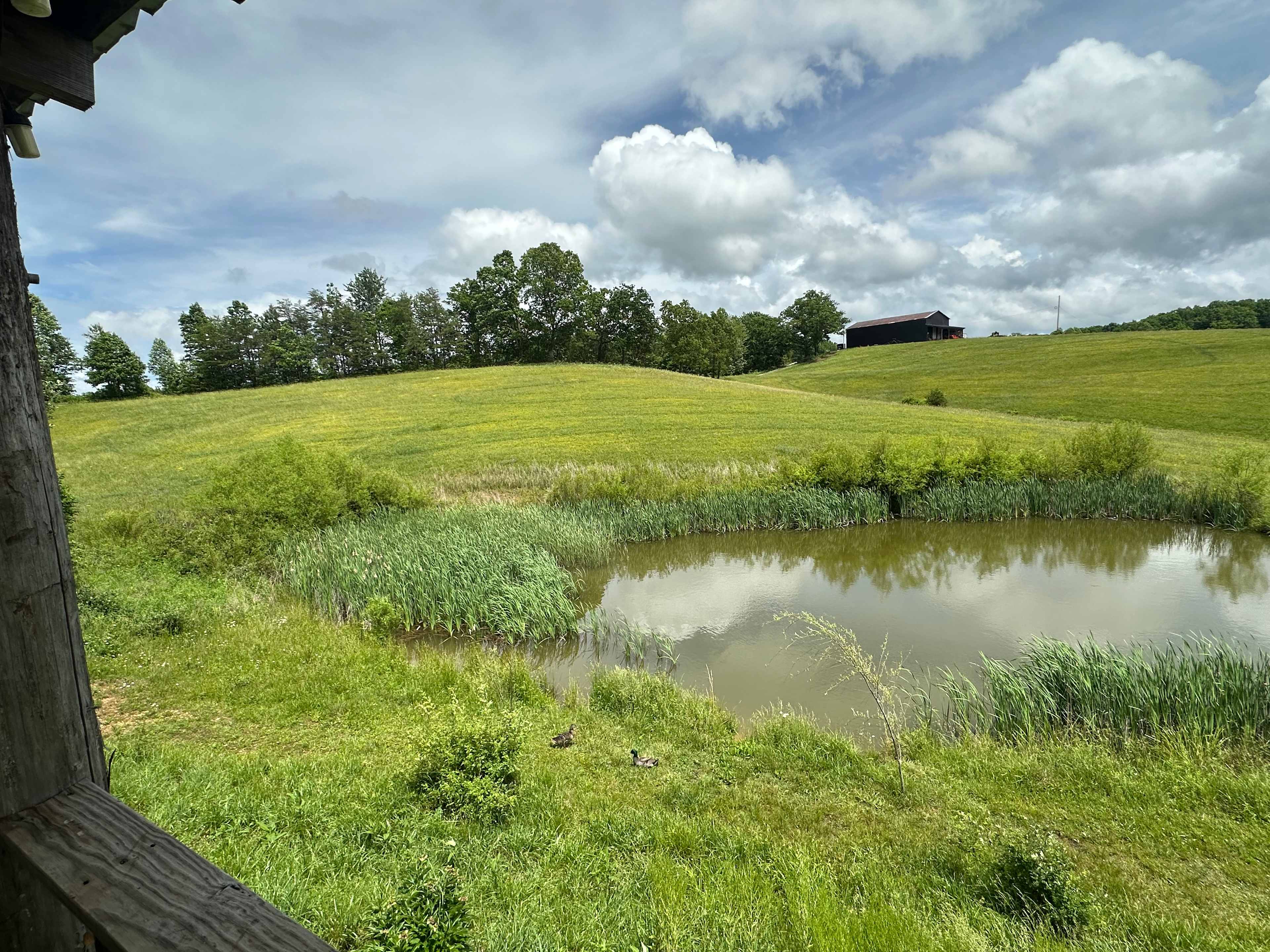 Possum Ridge Ranch