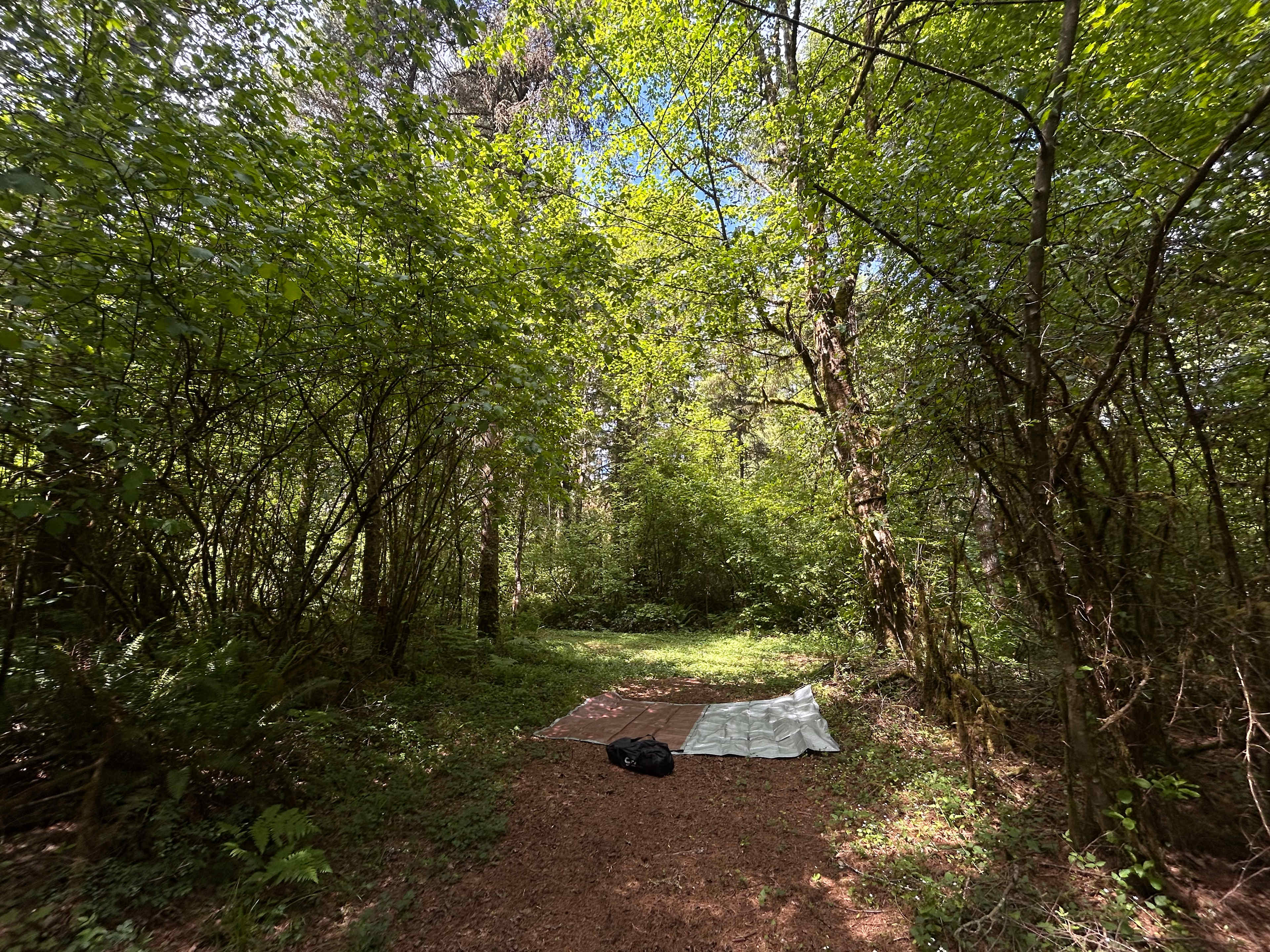 Where we set up camp.