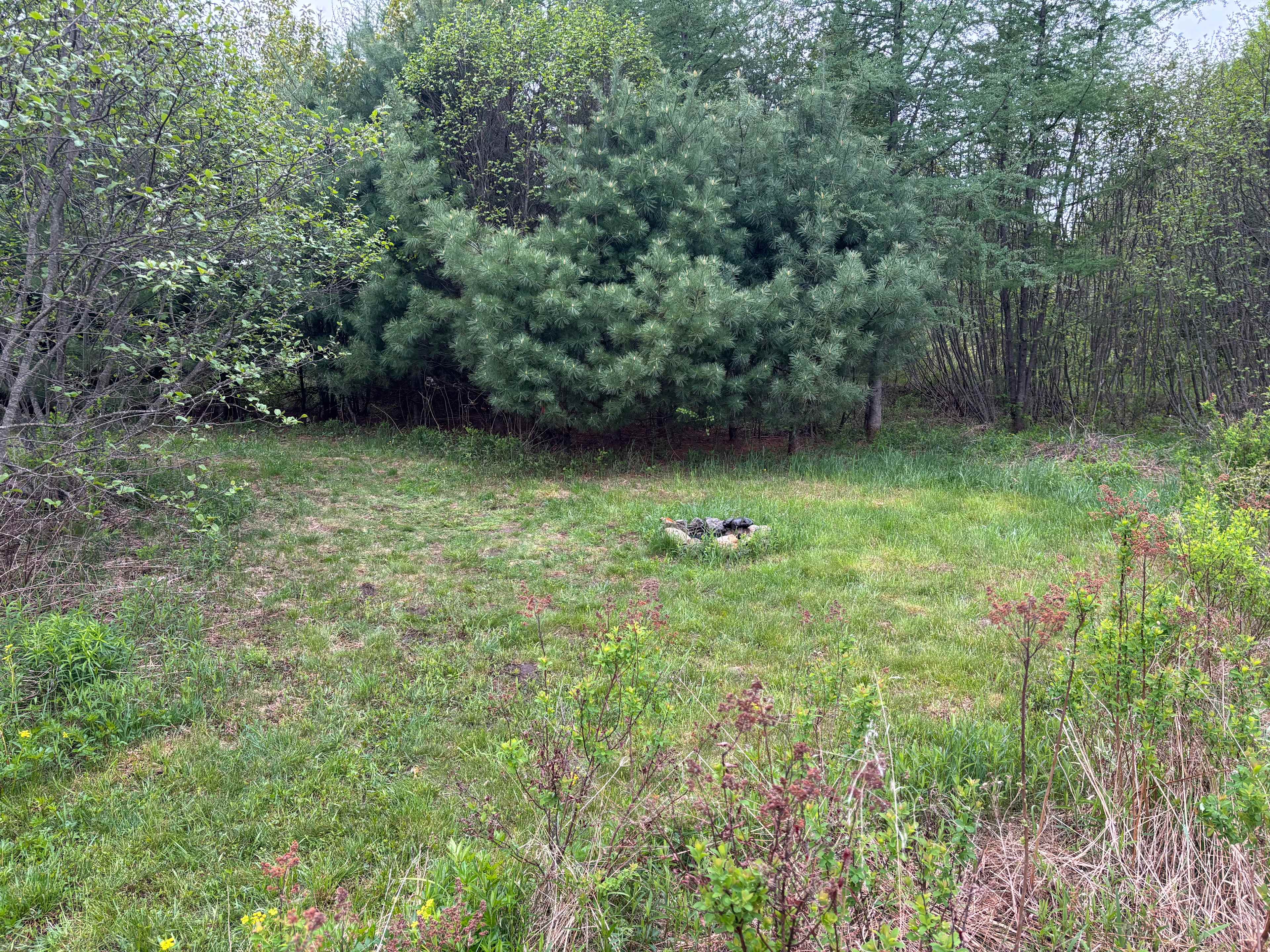 Alders Camping Site
