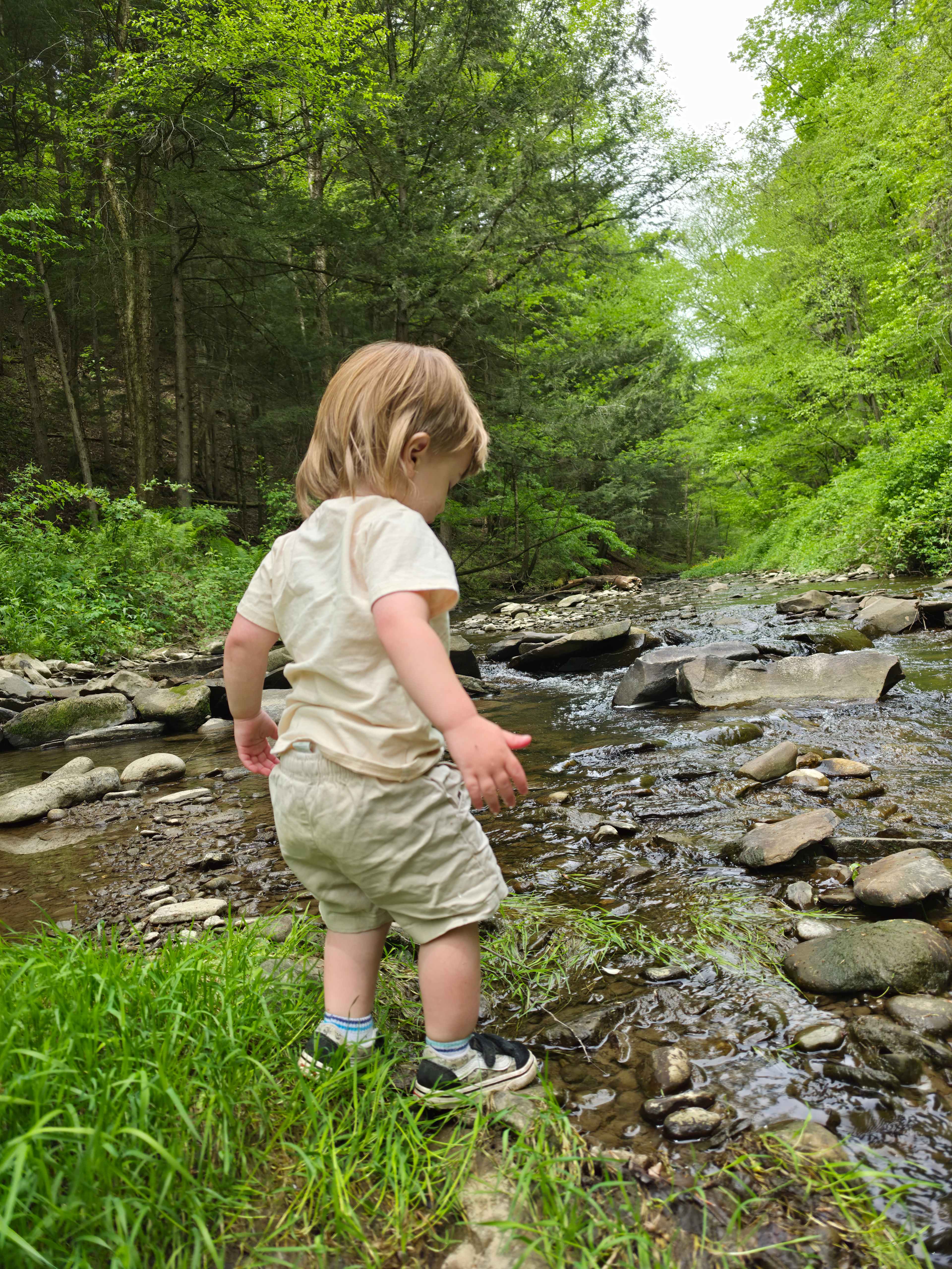 Towner's Country Paradise