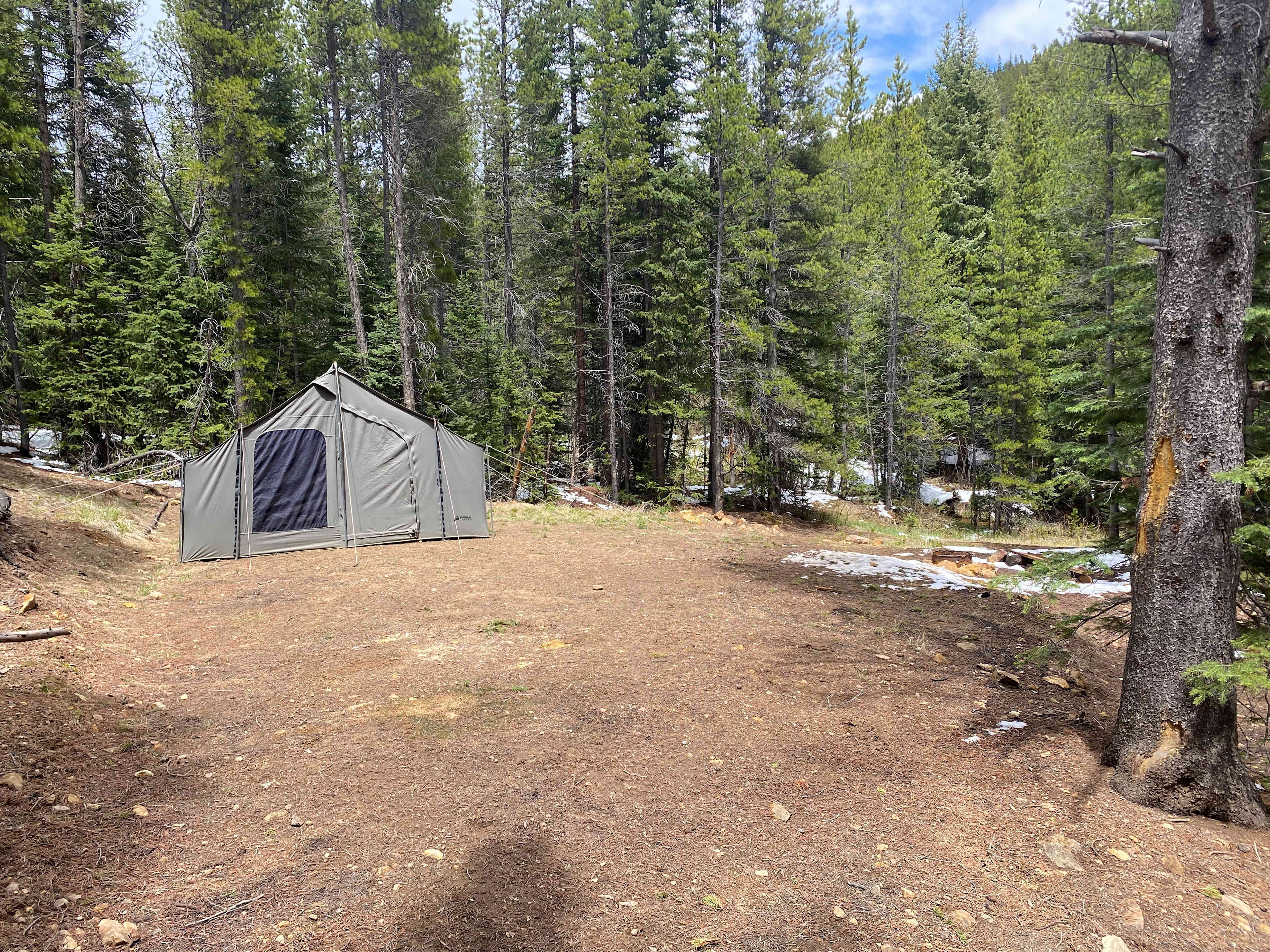Picture of the site