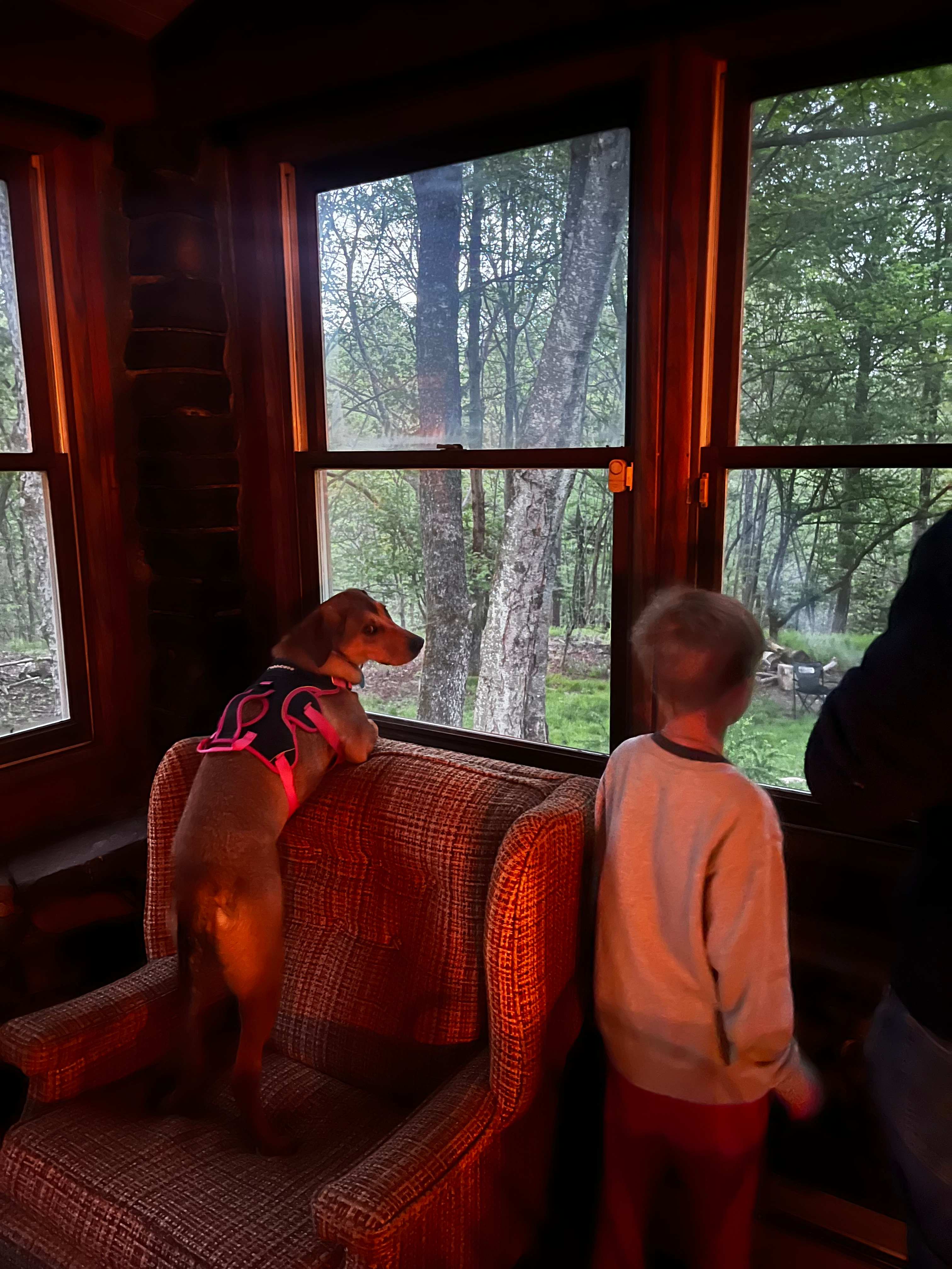 Pocono Cabin With No Name